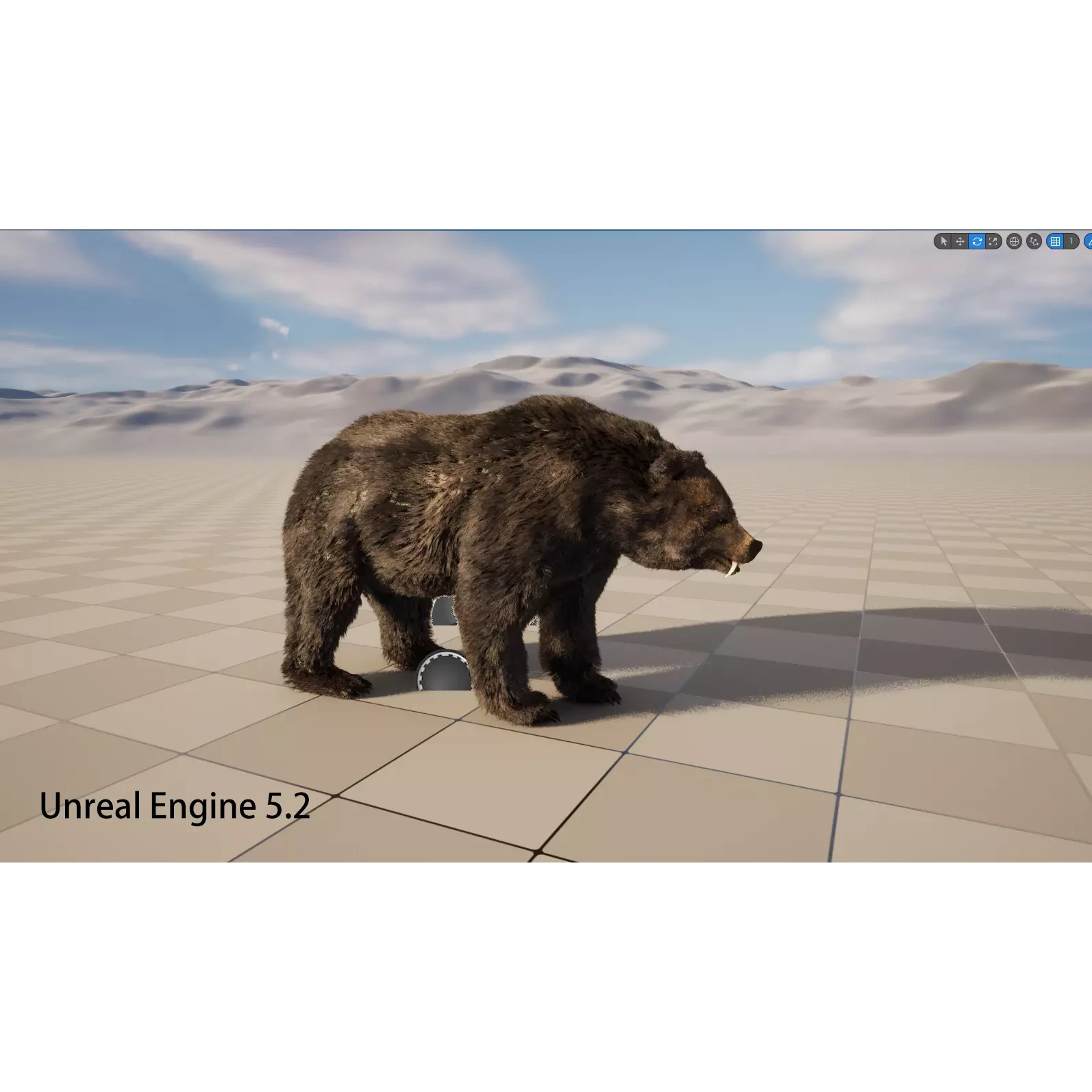 bear grizzly brown bear black bear Low-poly 3D model 10