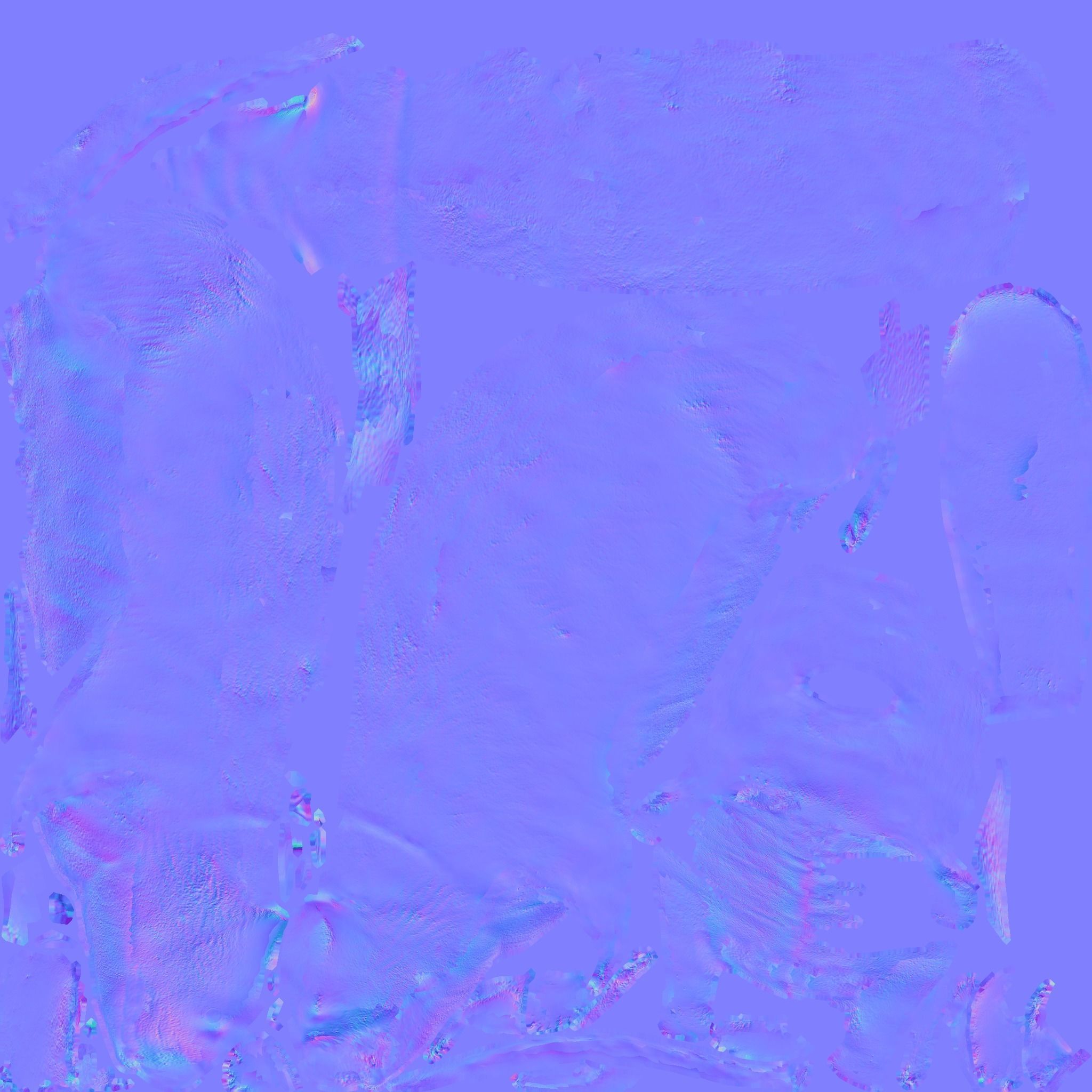Beaver Free 3D model 9