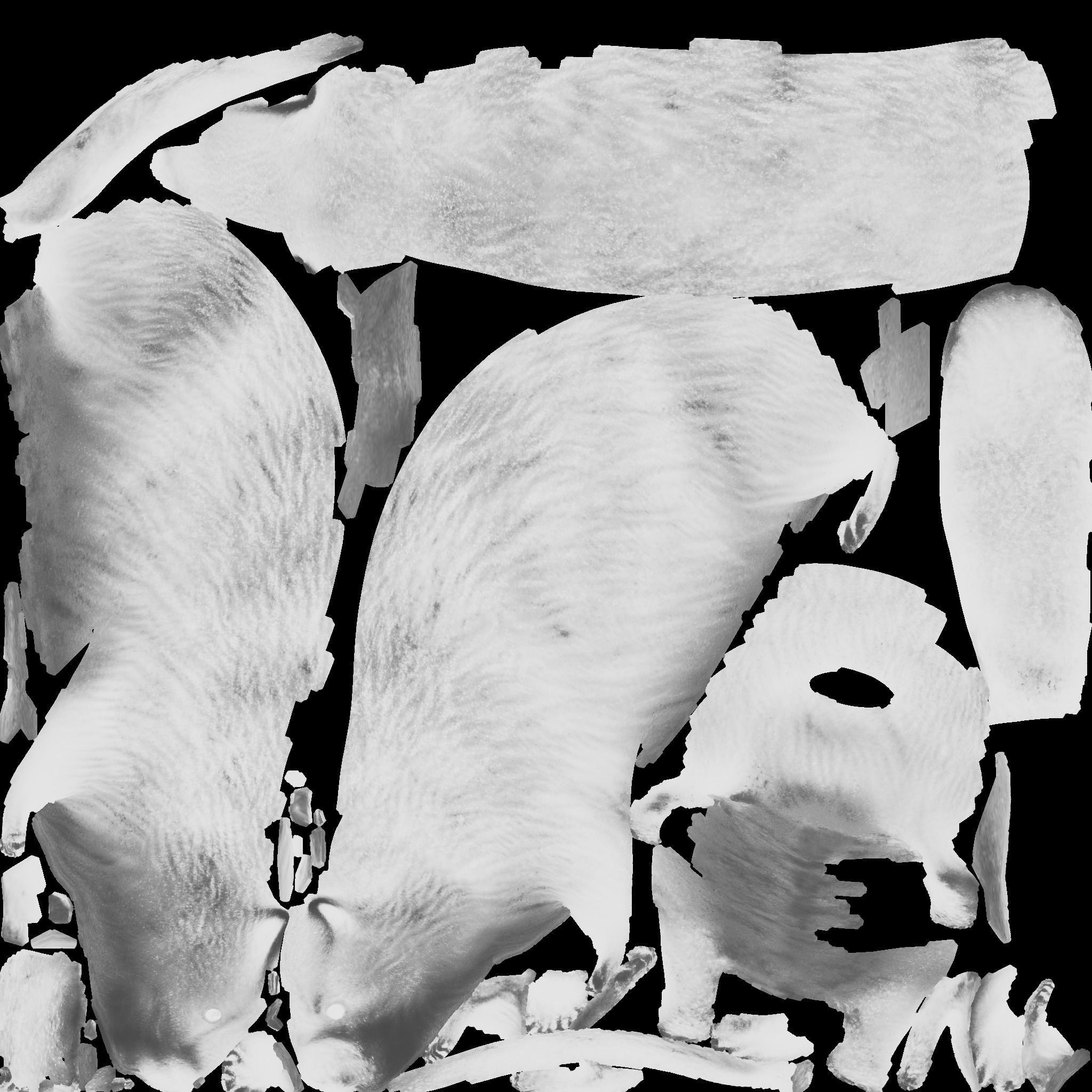 Beaver Free 3D model 10