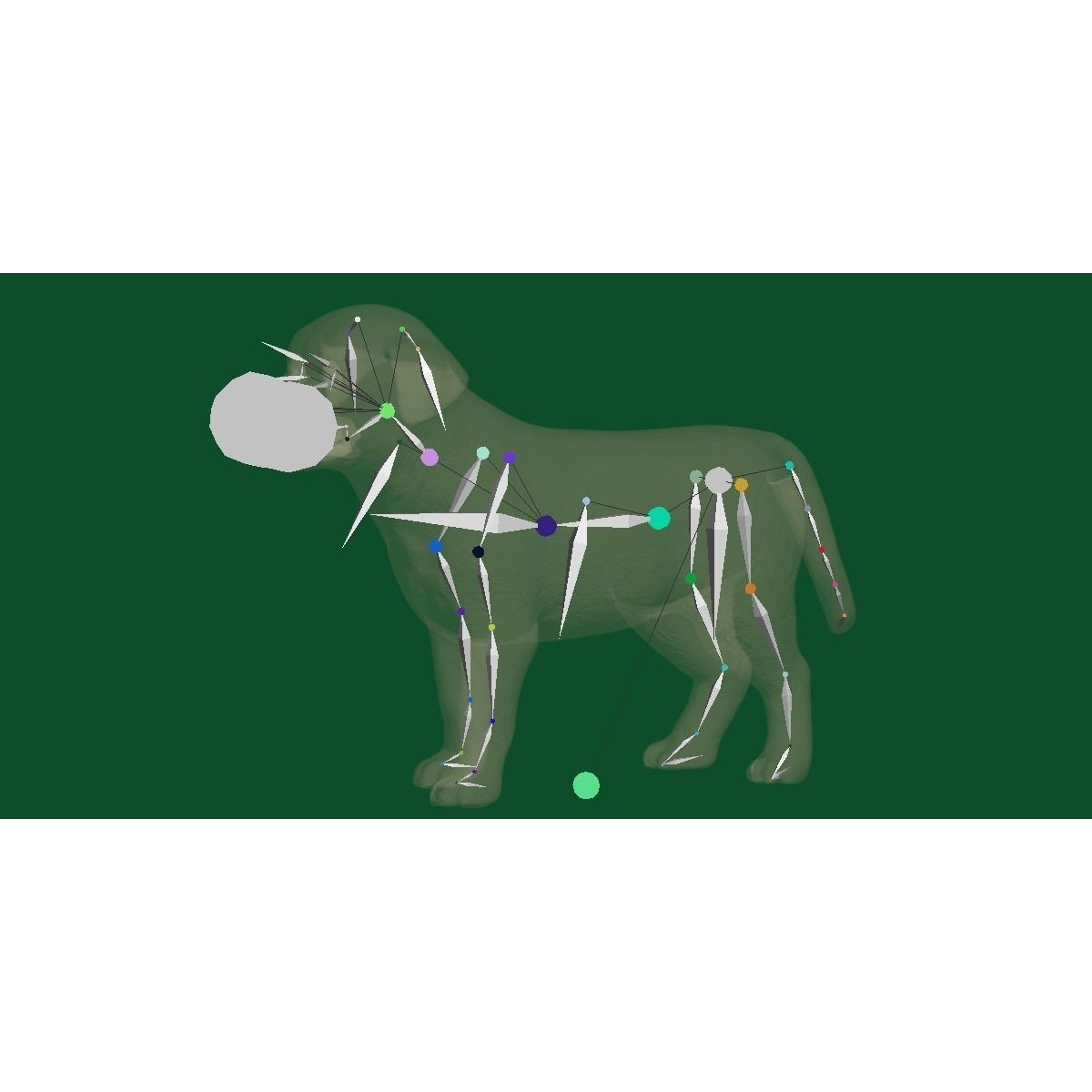 Belgian Shepherd Puppy Dog Breed 3D model 3