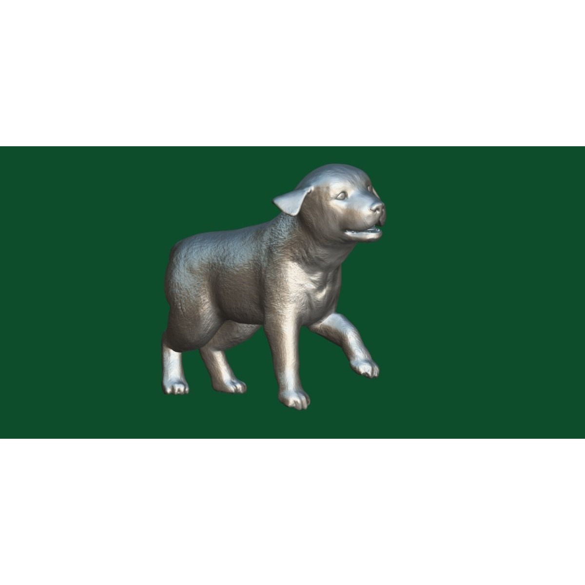Belgian Shepherd Puppy Dog Breed 3D model 4