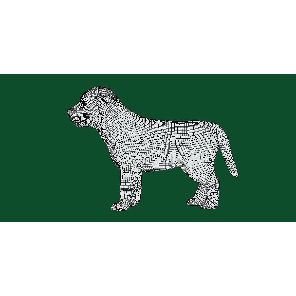 Belgian Shepherd Puppy Dog Breed 3D model 6