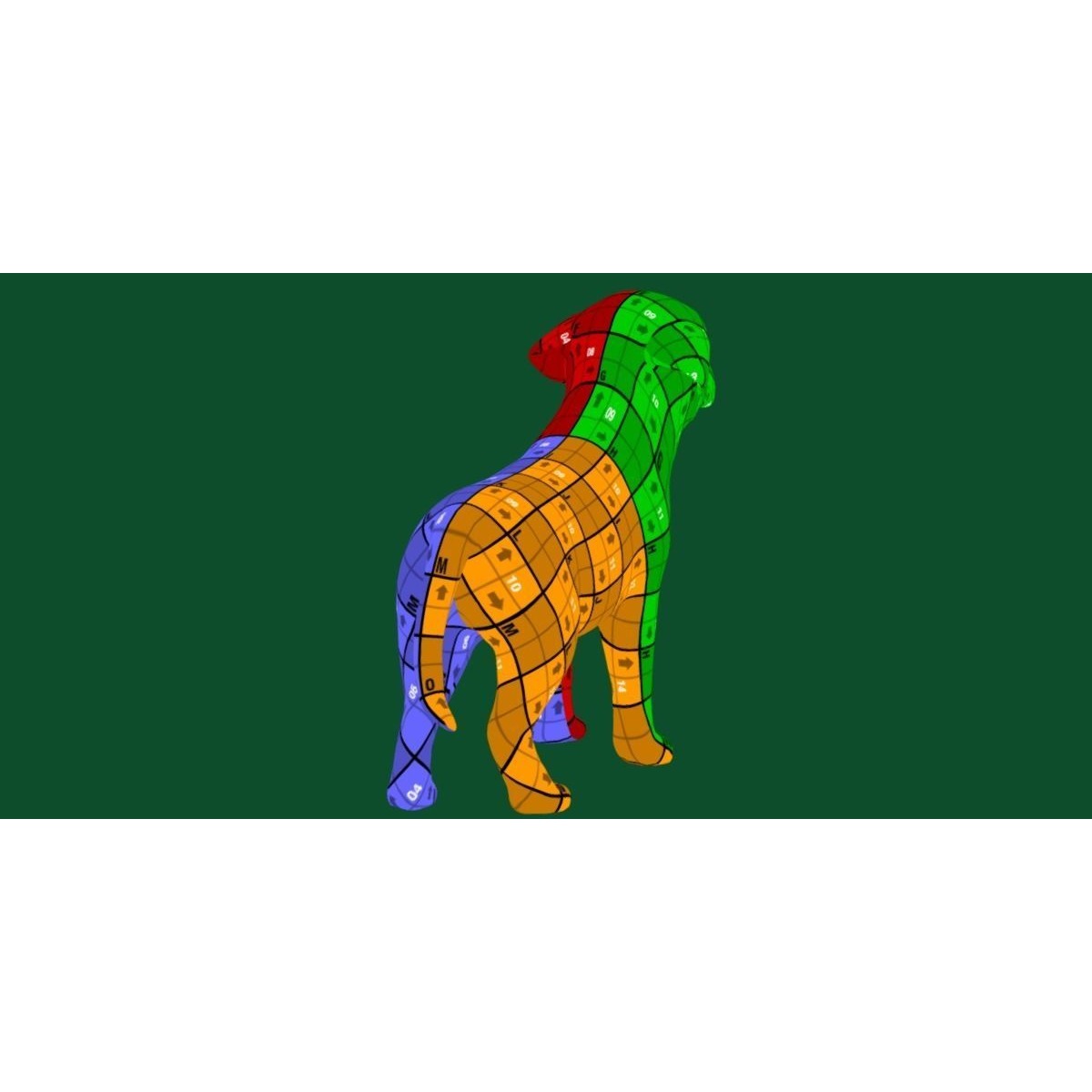 Belgian Shepherd Puppy Dog Breed 3D model 9