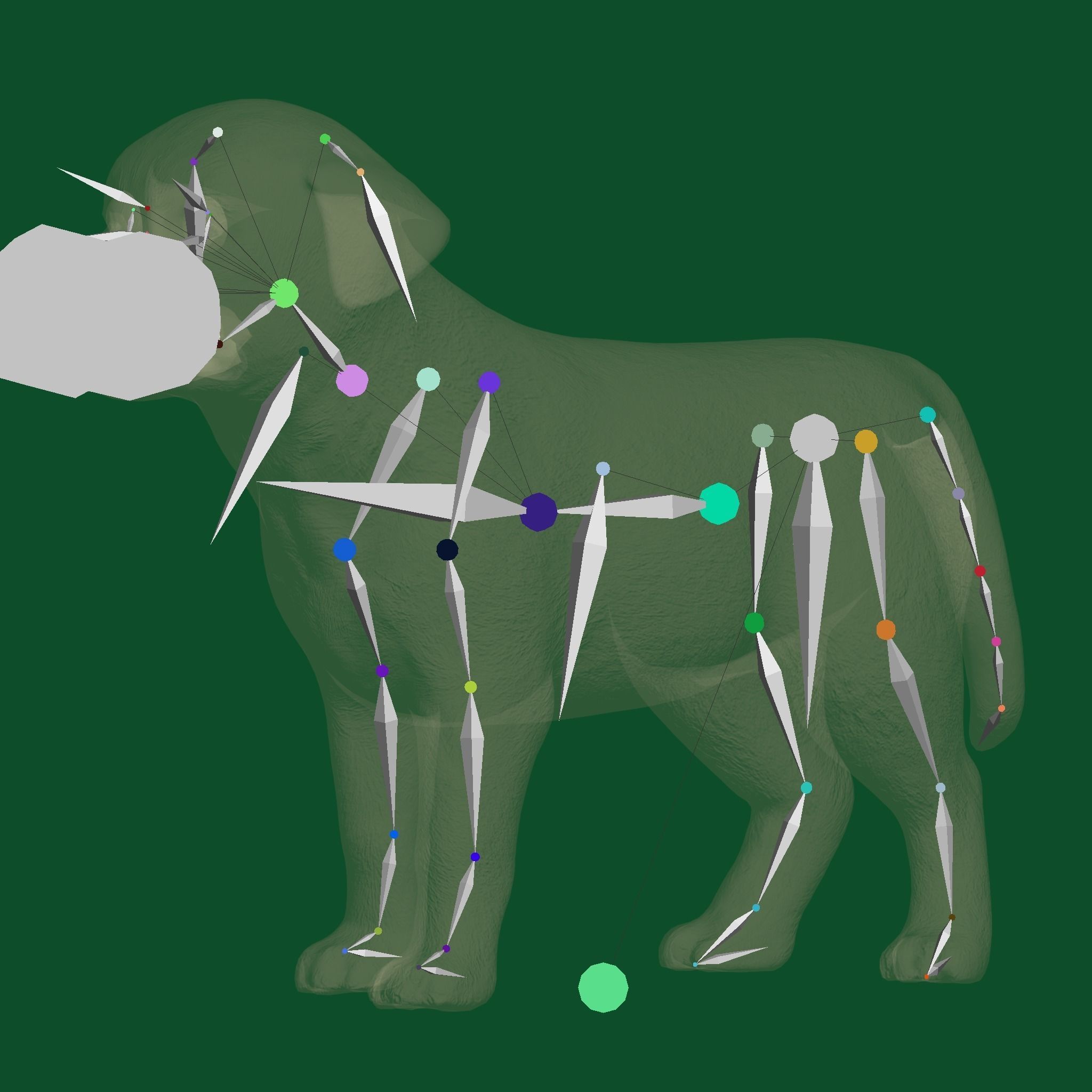 Belgian Shepherd Puppy Dog Breed 3D model 10