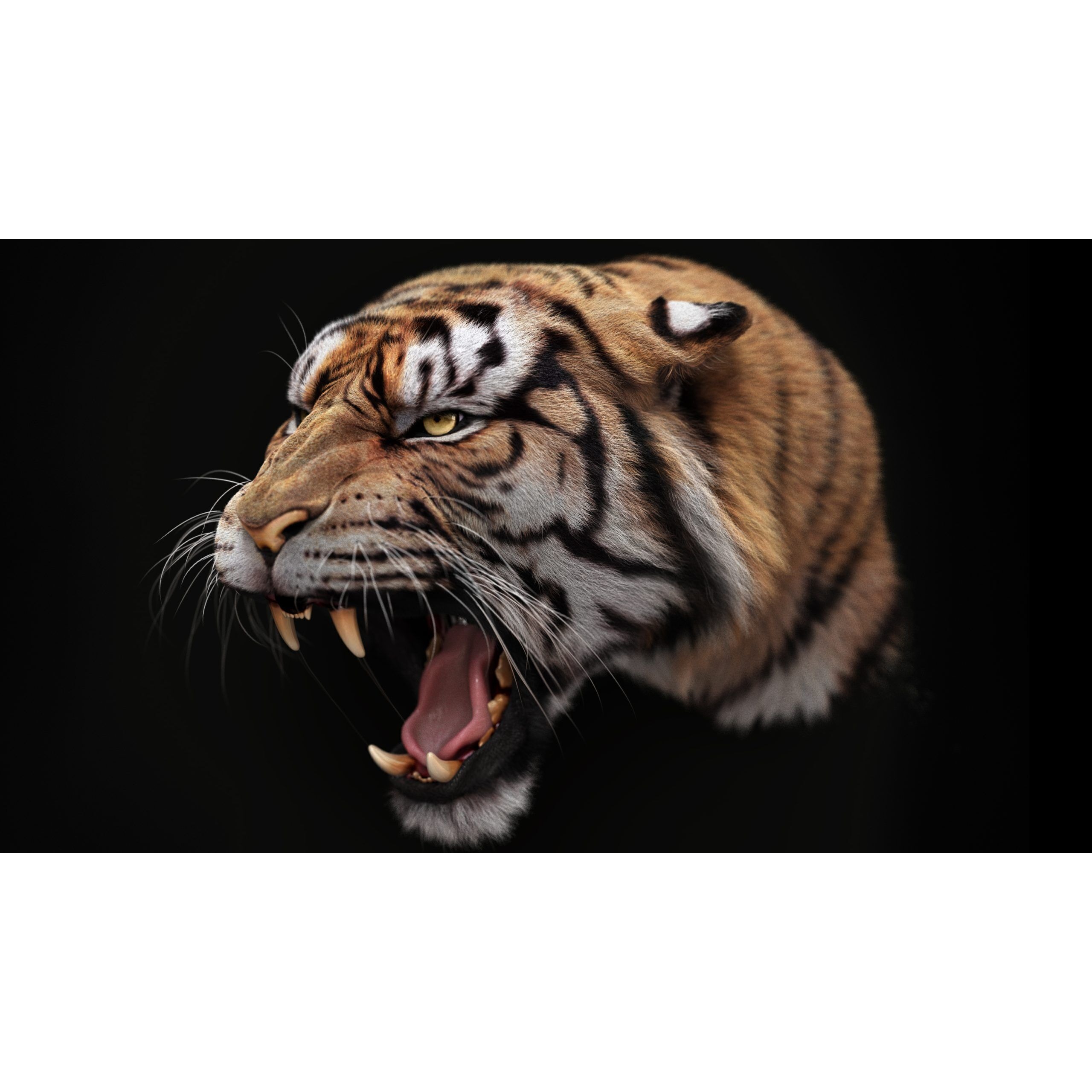 Bengal Tiger RIG Yeti 3D model 6