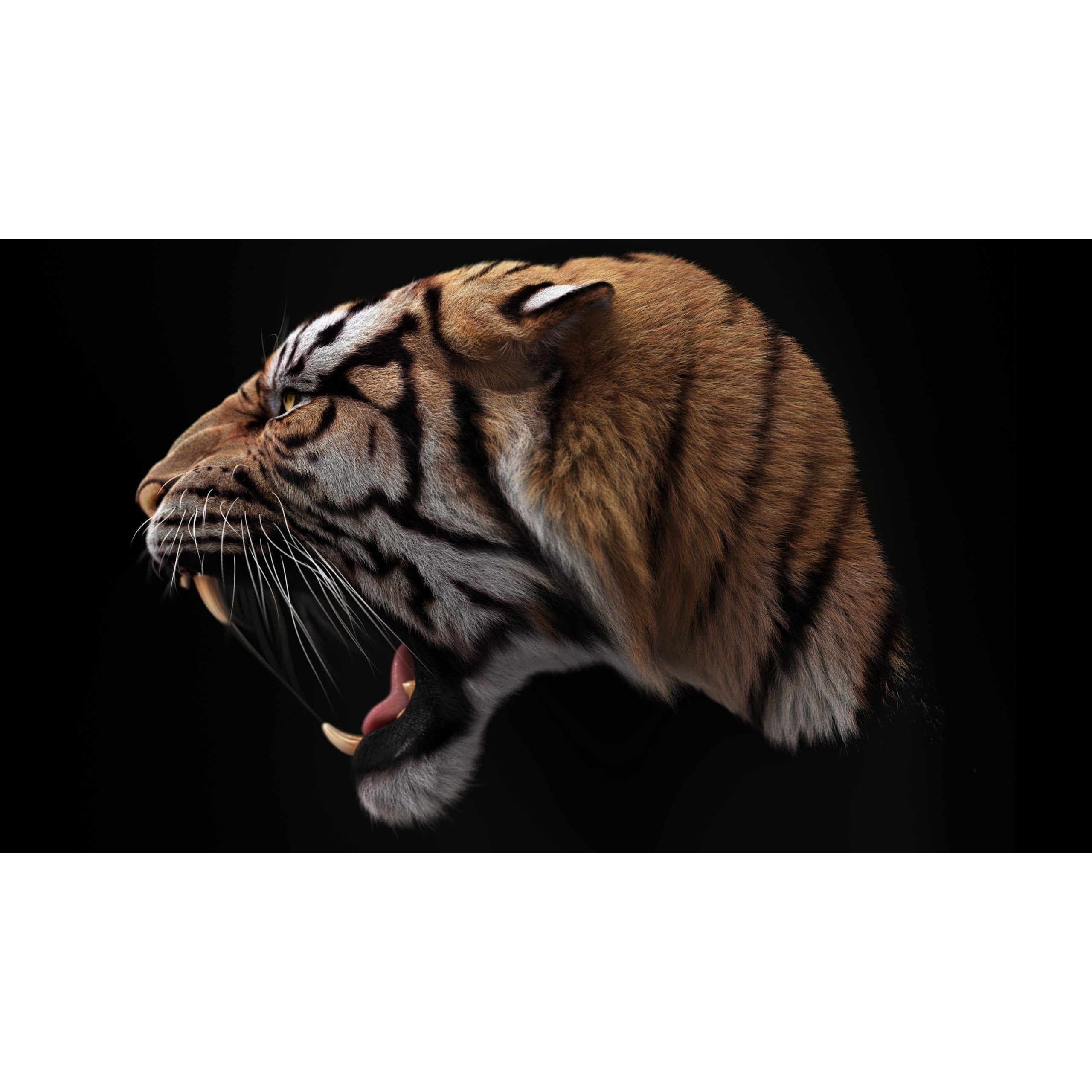 Bengal Tiger RIG Yeti 3D model 7