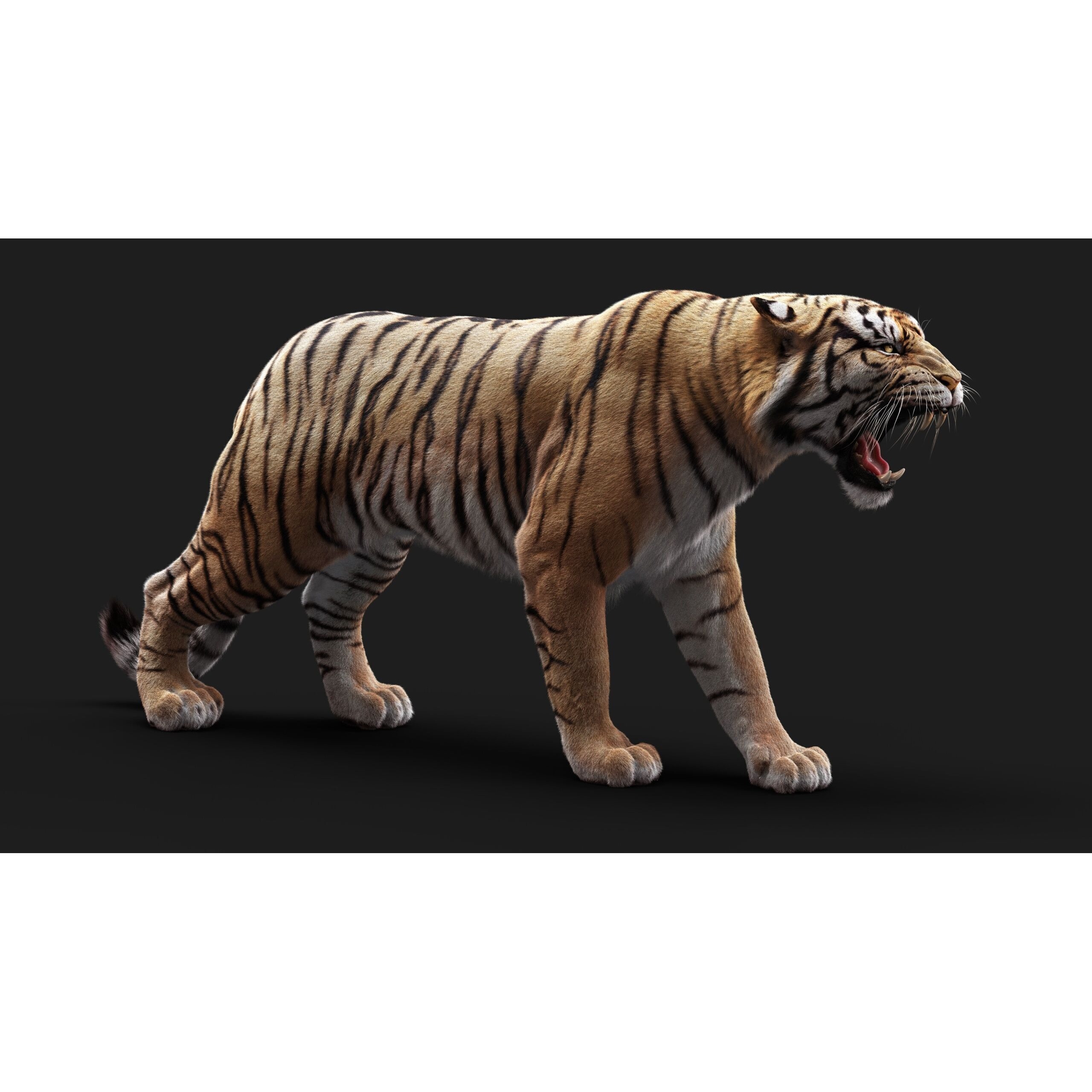 Bengal Tiger RIG Yeti 3D model 9