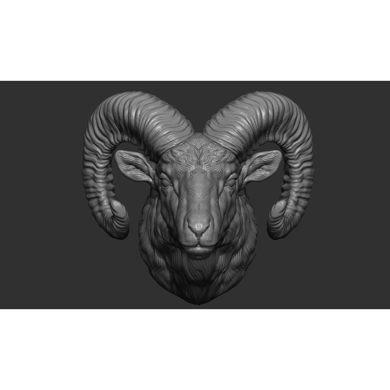 Big Horned Ram head 3D print model 3