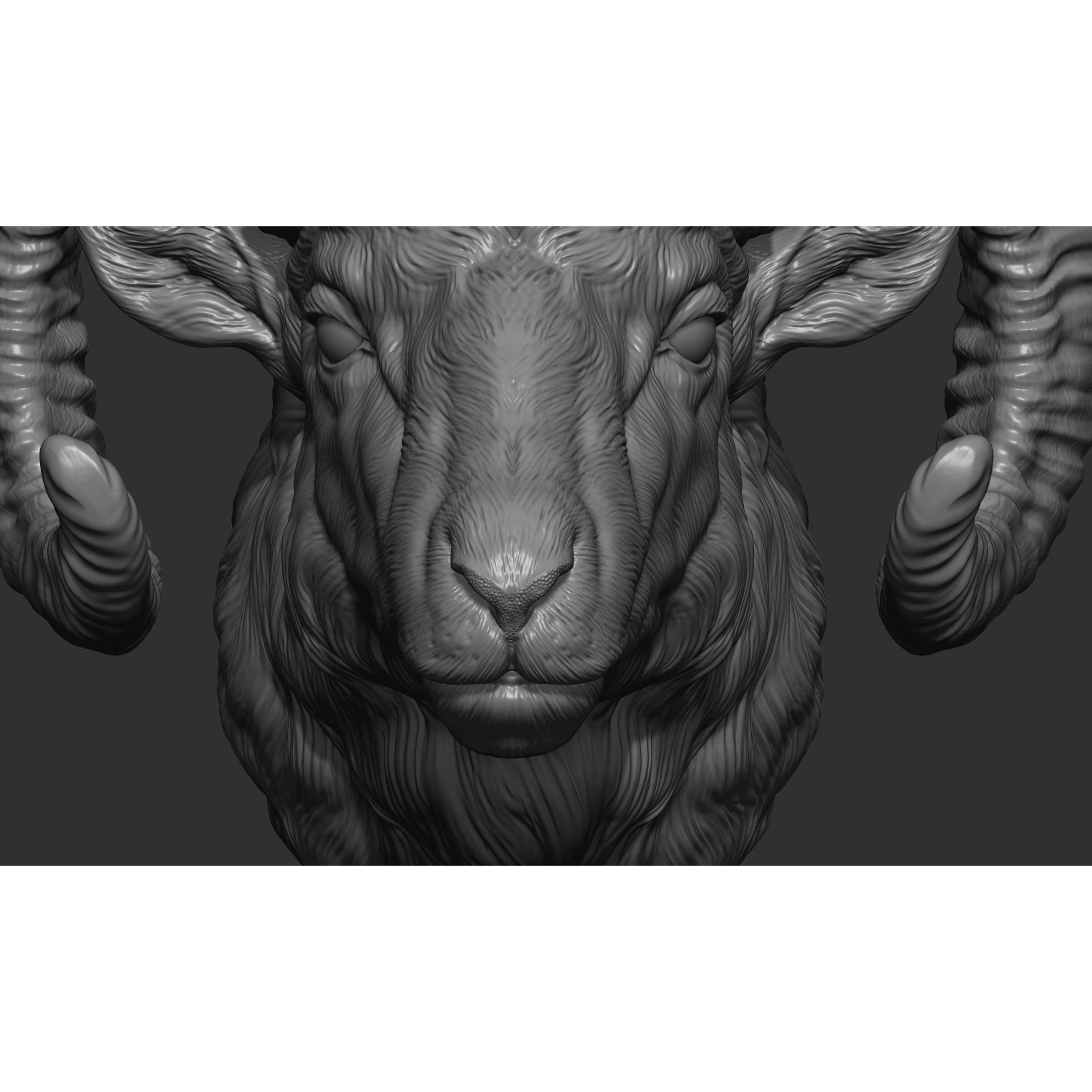 Big Horned Ram head 3D print model 5