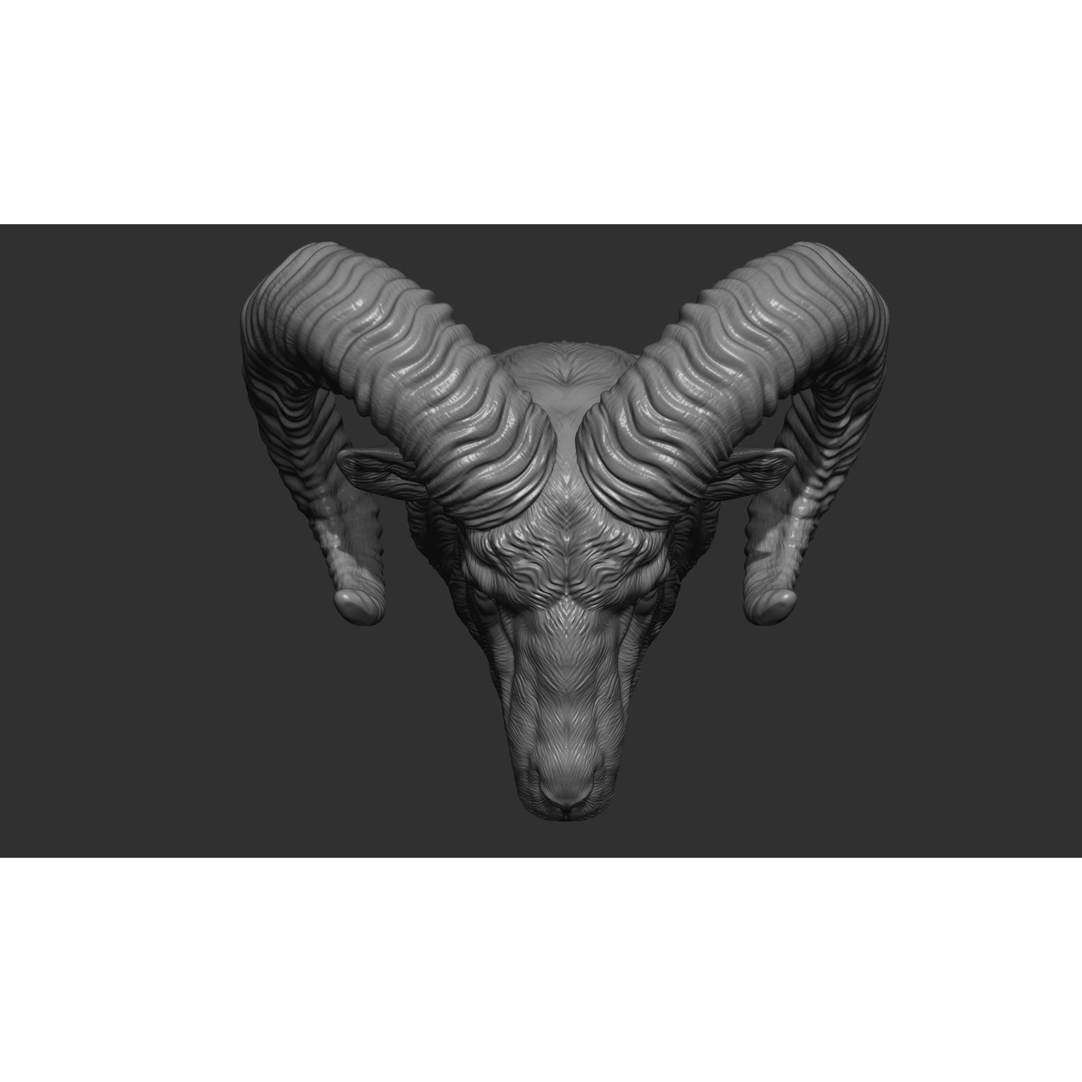 Big Horned Ram head 3D print model 6
