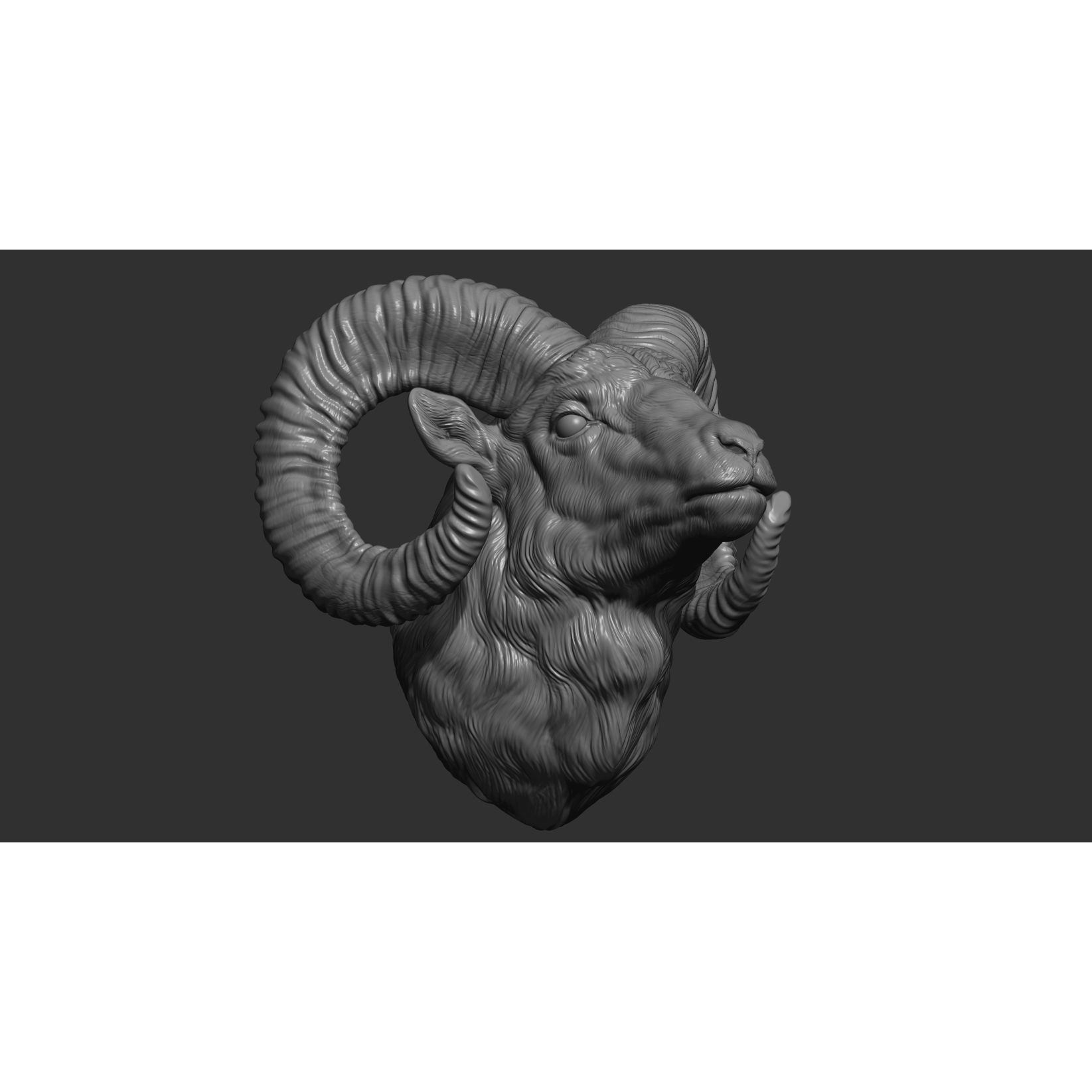 Big Horned Ram head 3D print model 7
