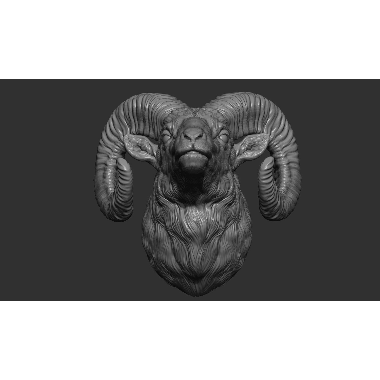 Big Horned Ram head 3D print model 8