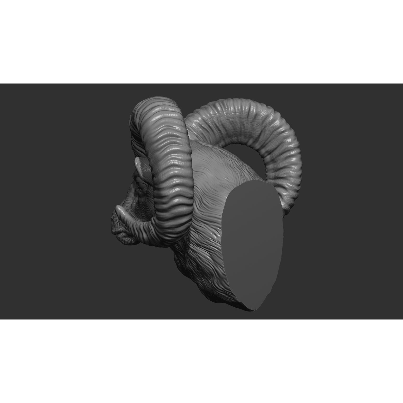 Big Horned Ram head 3D print model 10