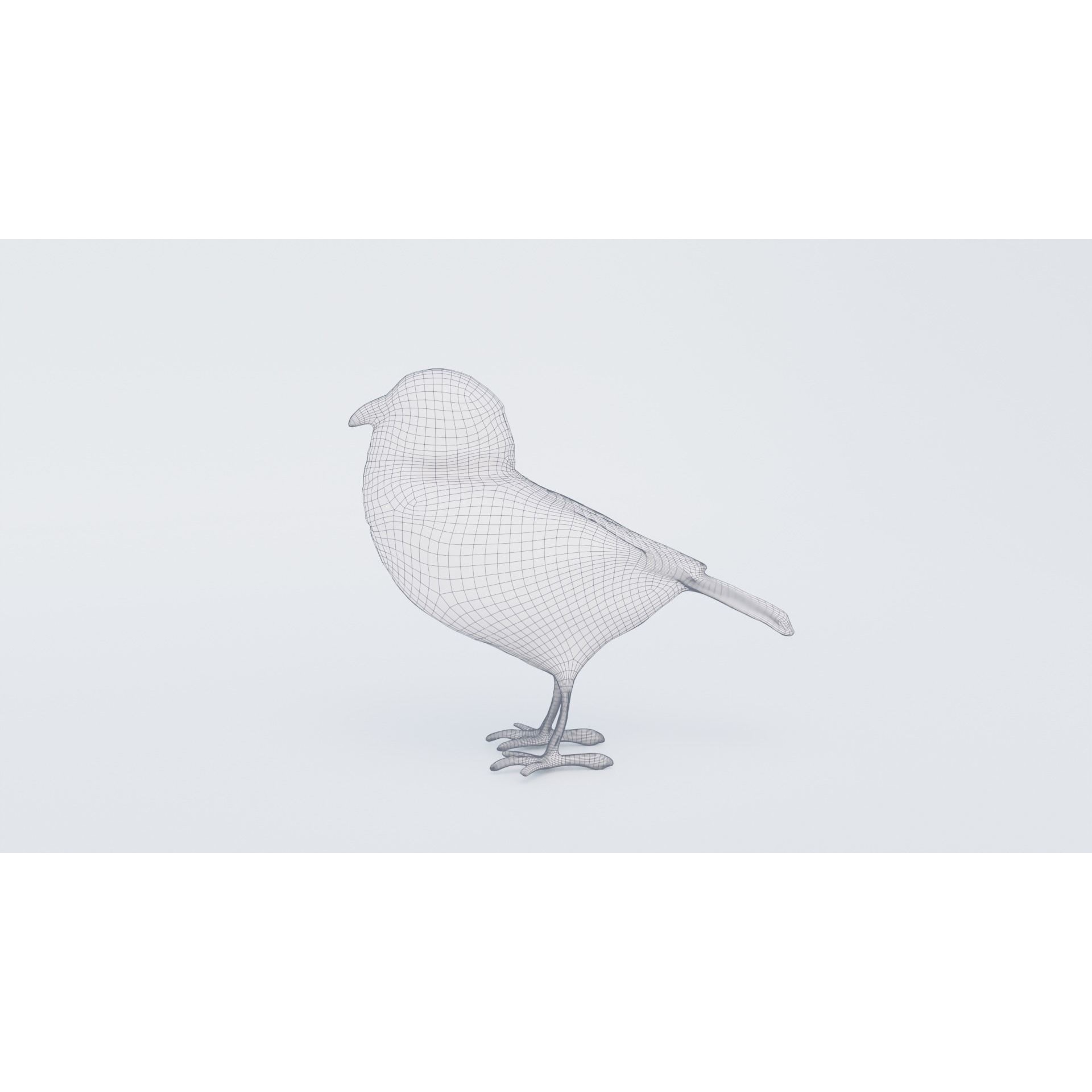 Bird Animal Free 3D model 7