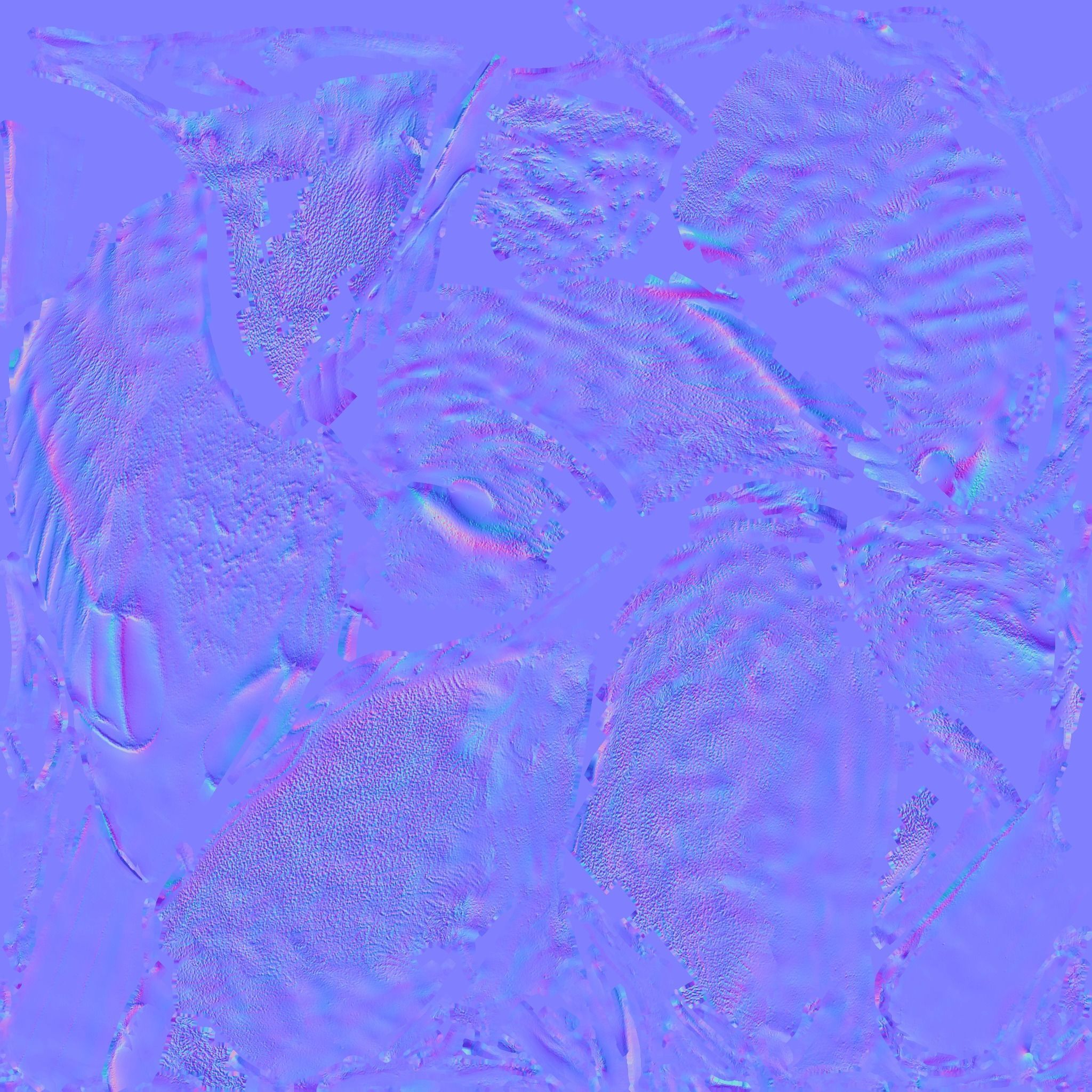 Bird Animal Free 3D model 9