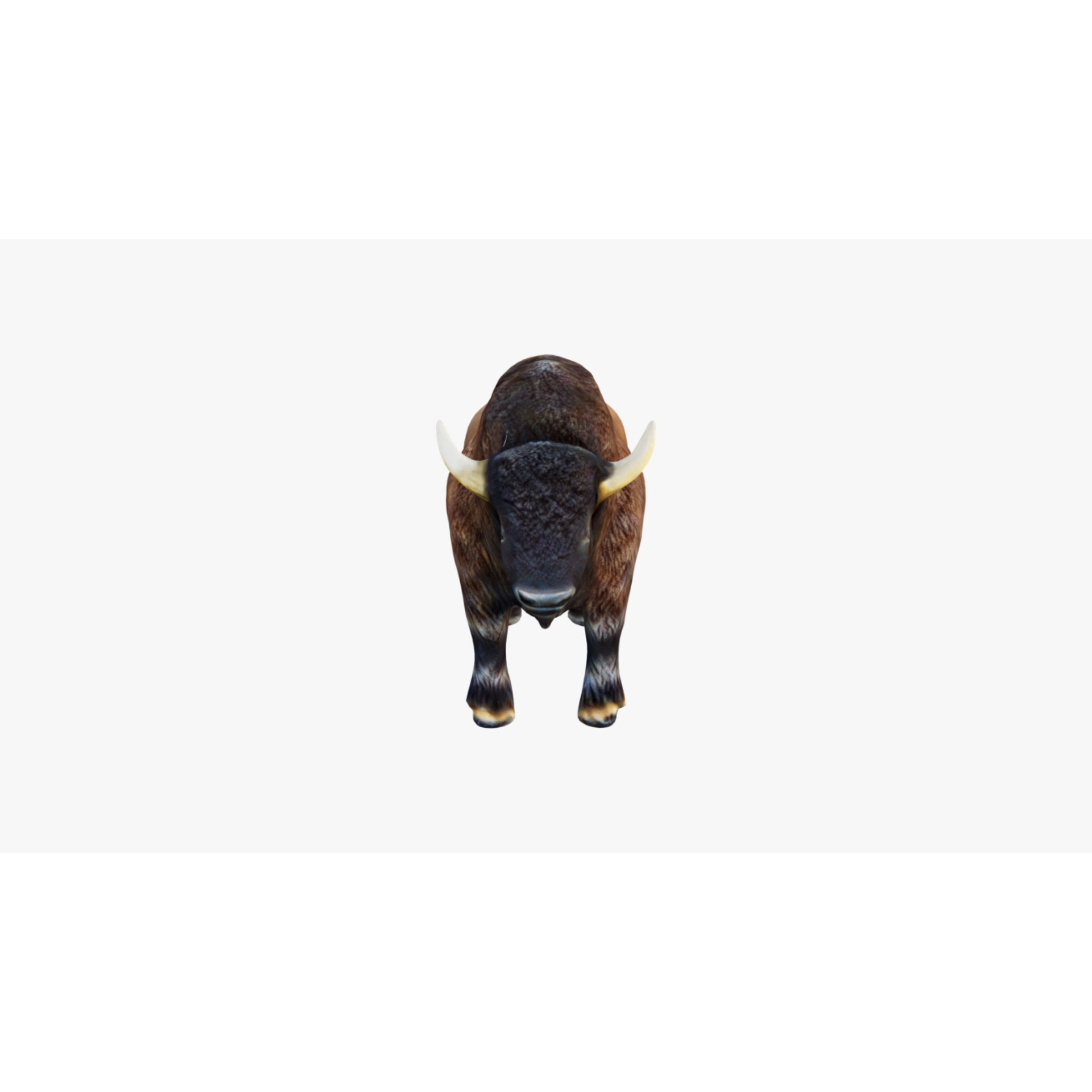 Bison Free 3D model 3