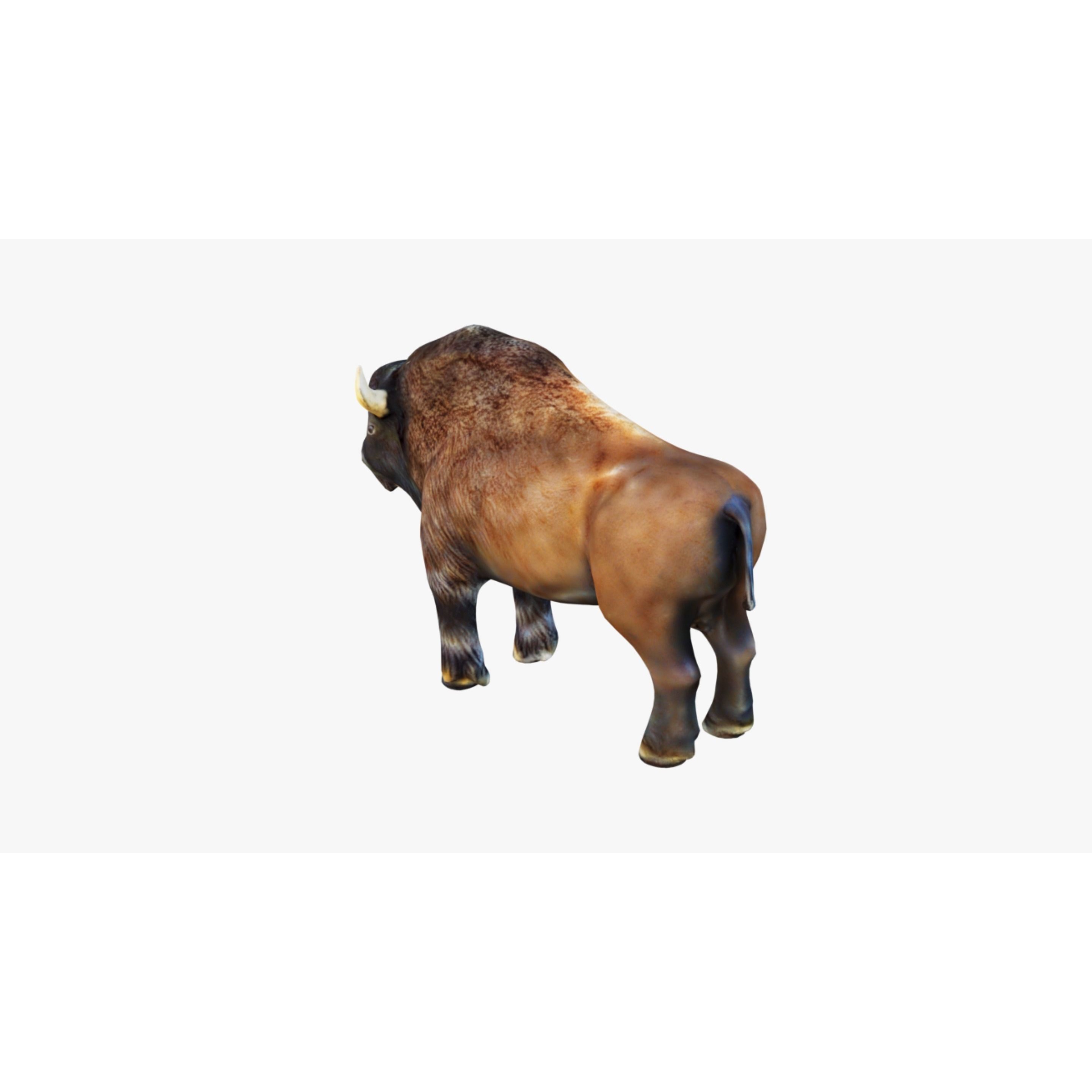 Bison Free 3D model 4