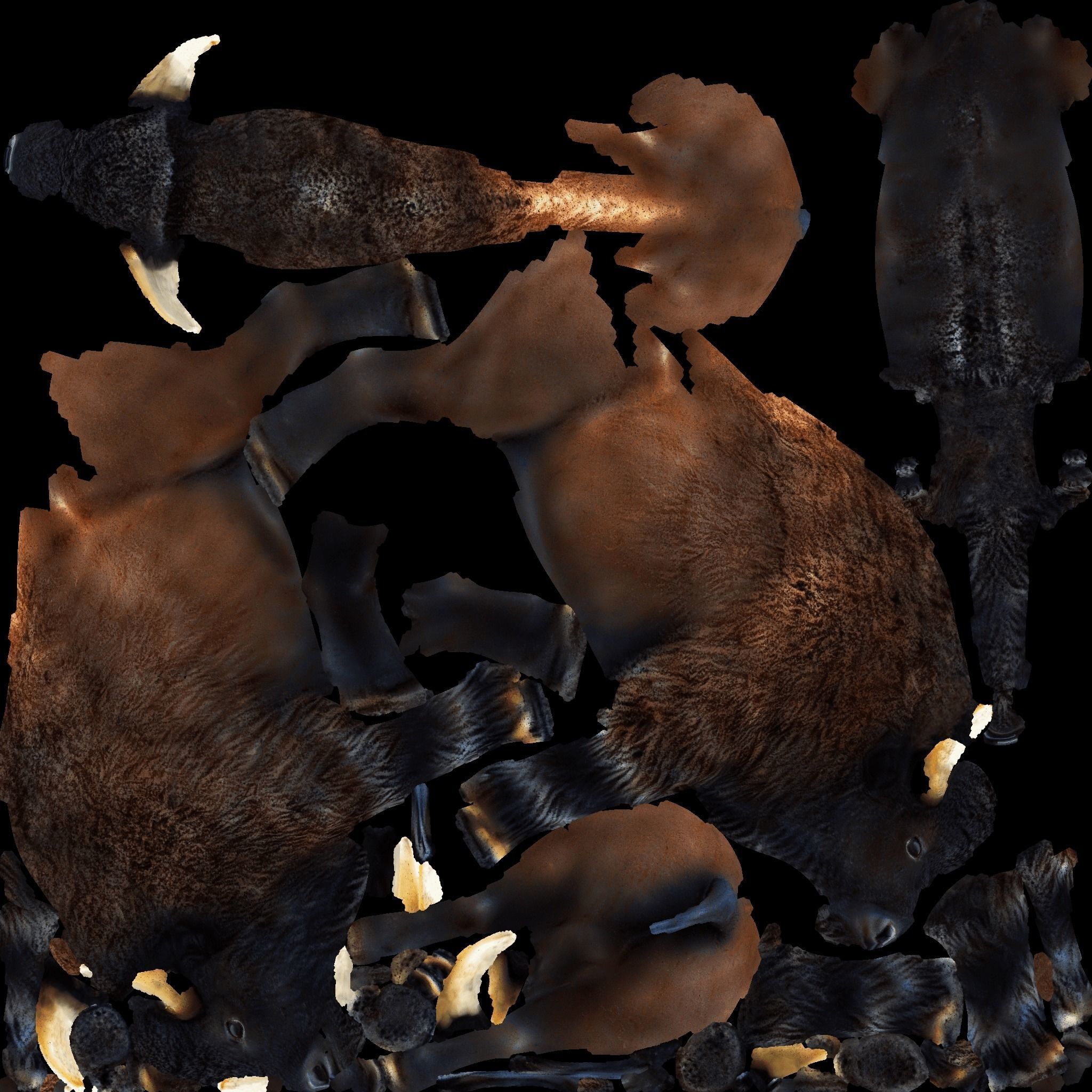 Bison Free 3D model 8