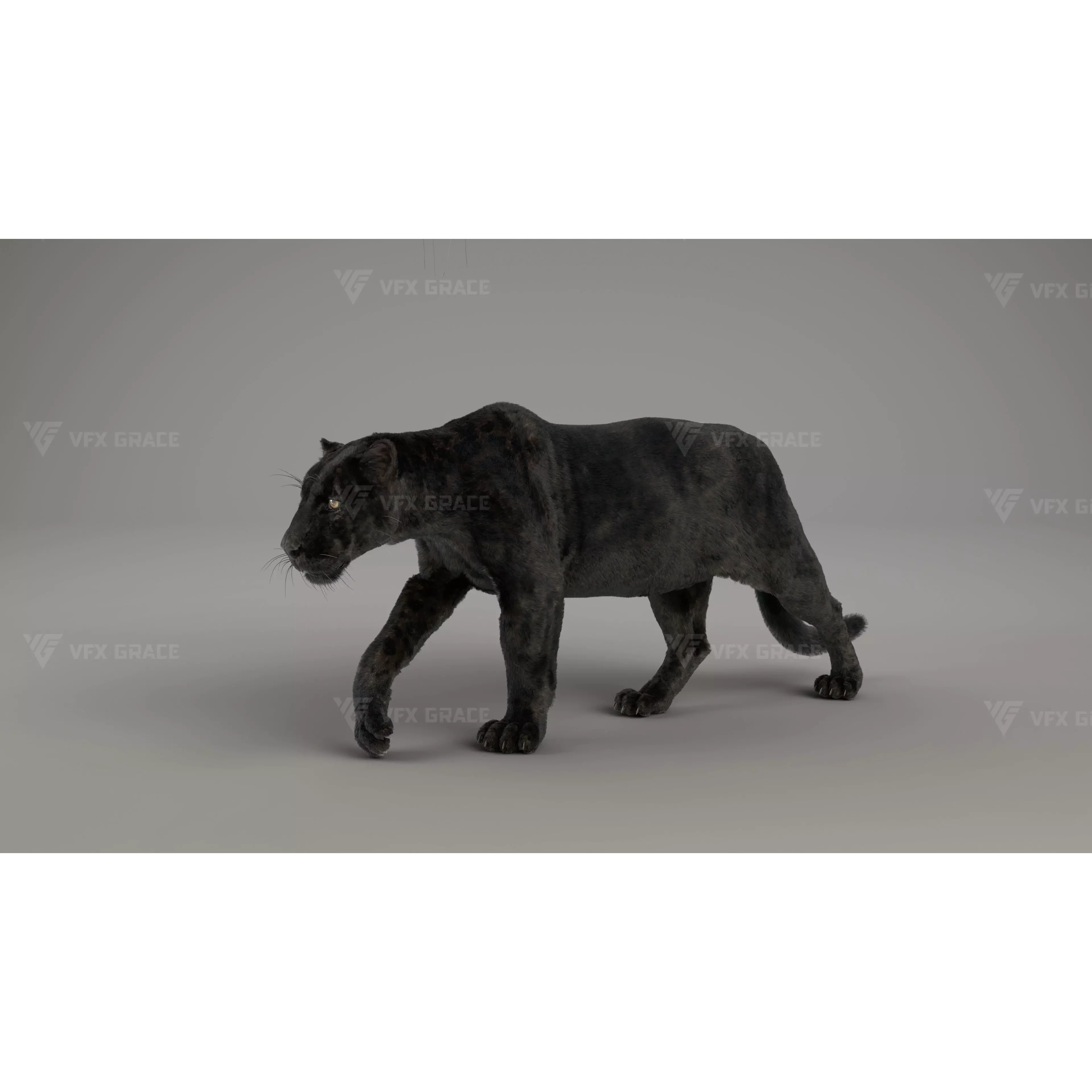 Black Jaguar 3D Blender 3D model