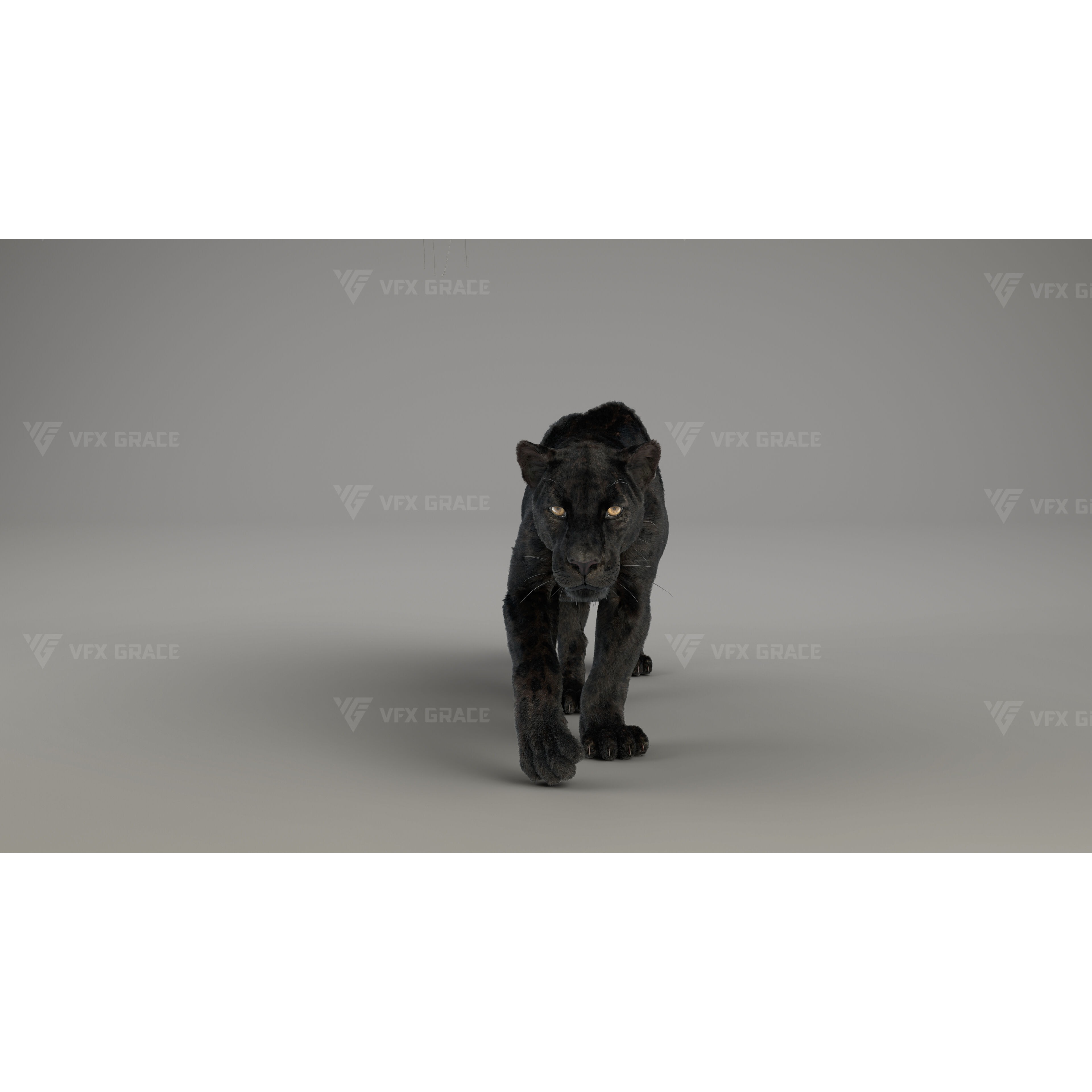 Black Jaguar 3D Blender 3D model 2