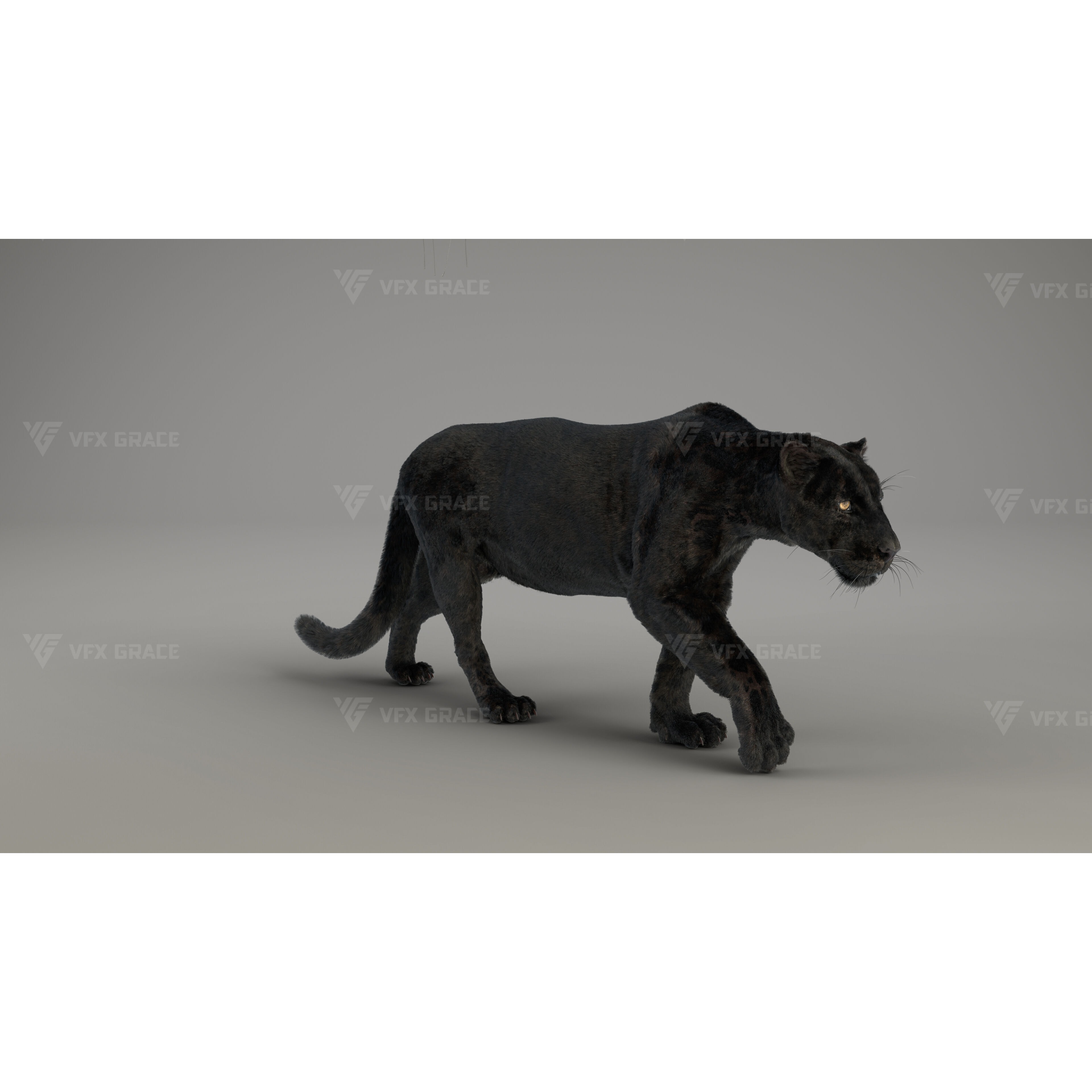 Black Jaguar 3D Blender 3D model 3
