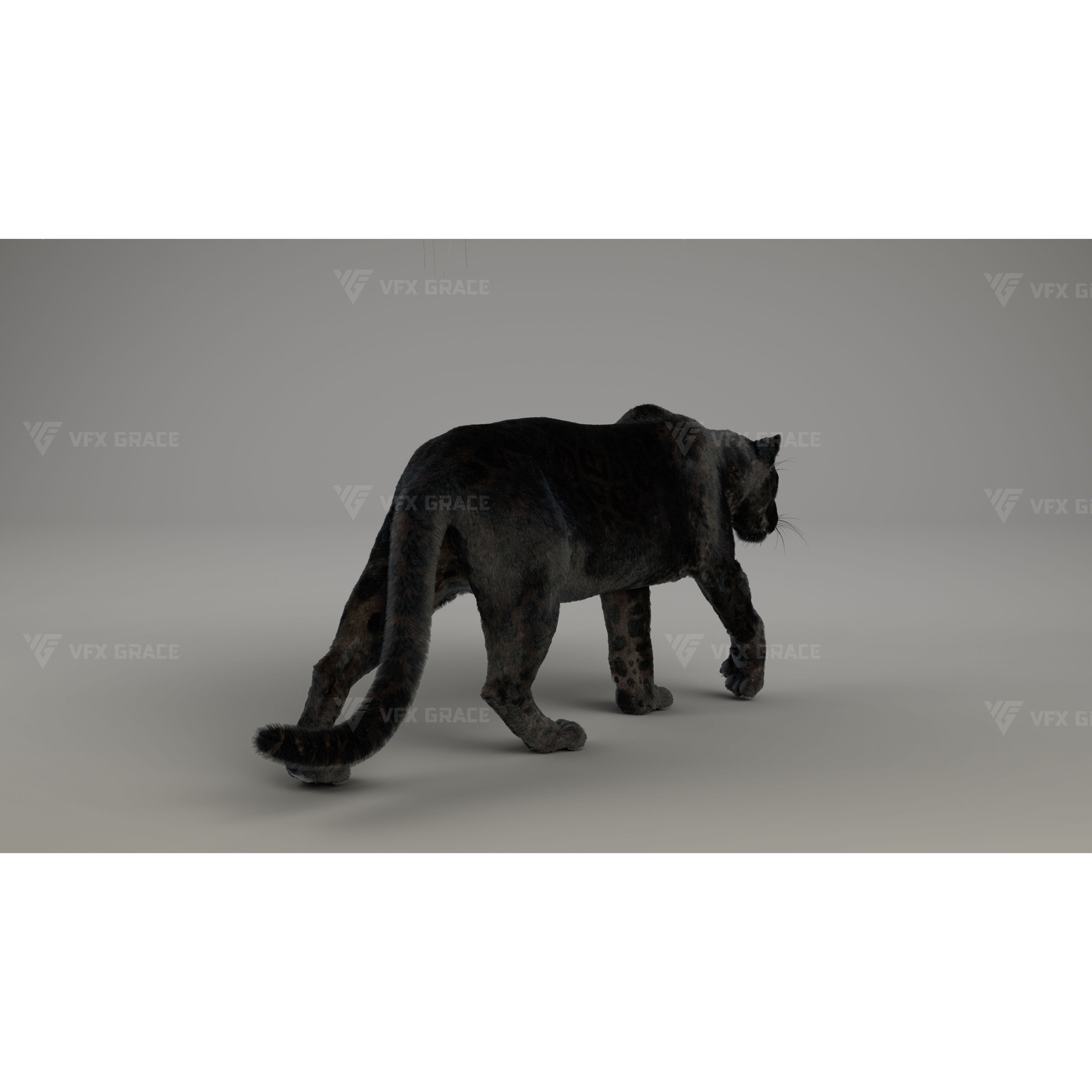 Black Jaguar 3D Blender 3D model 5