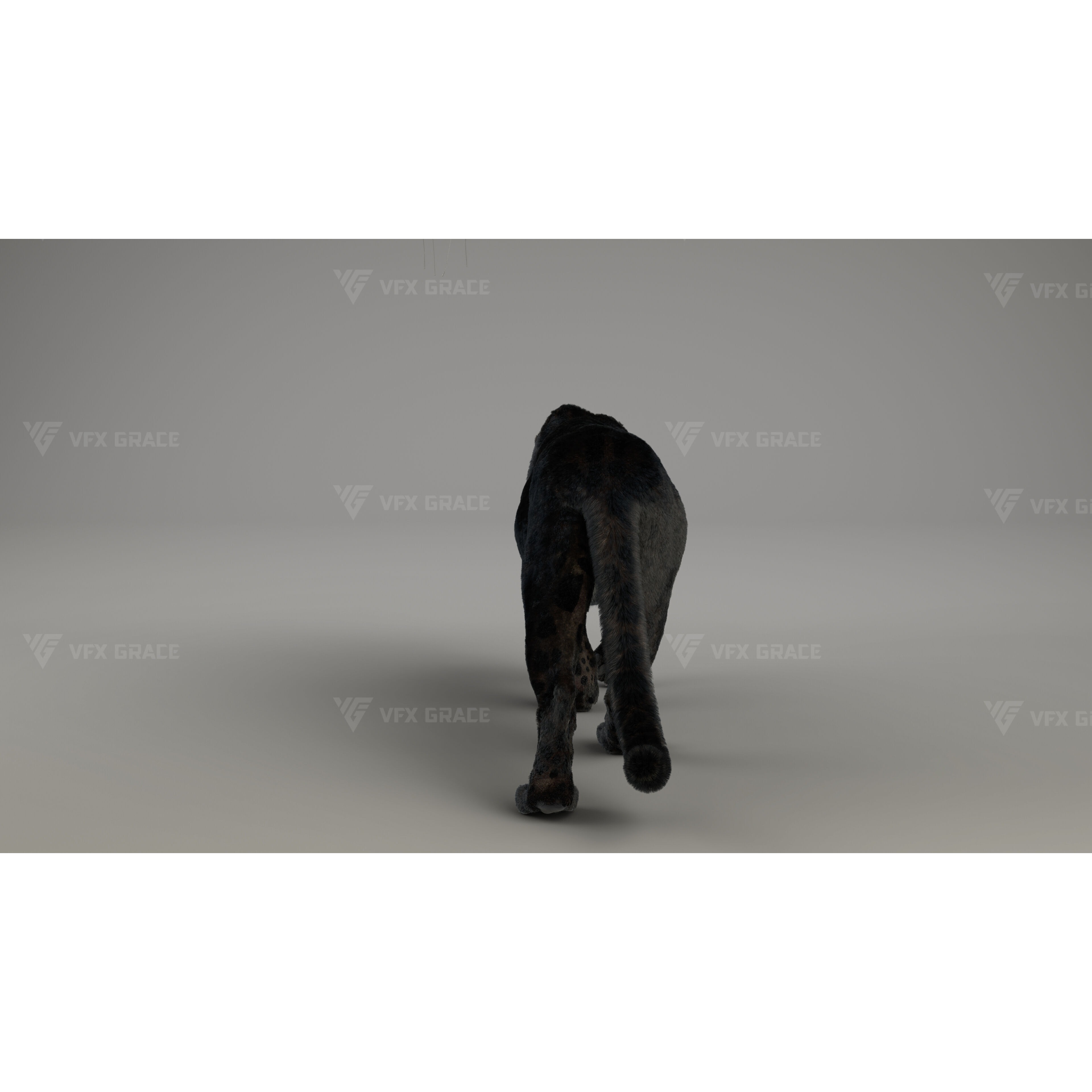 Black Jaguar 3D Blender 3D model 6