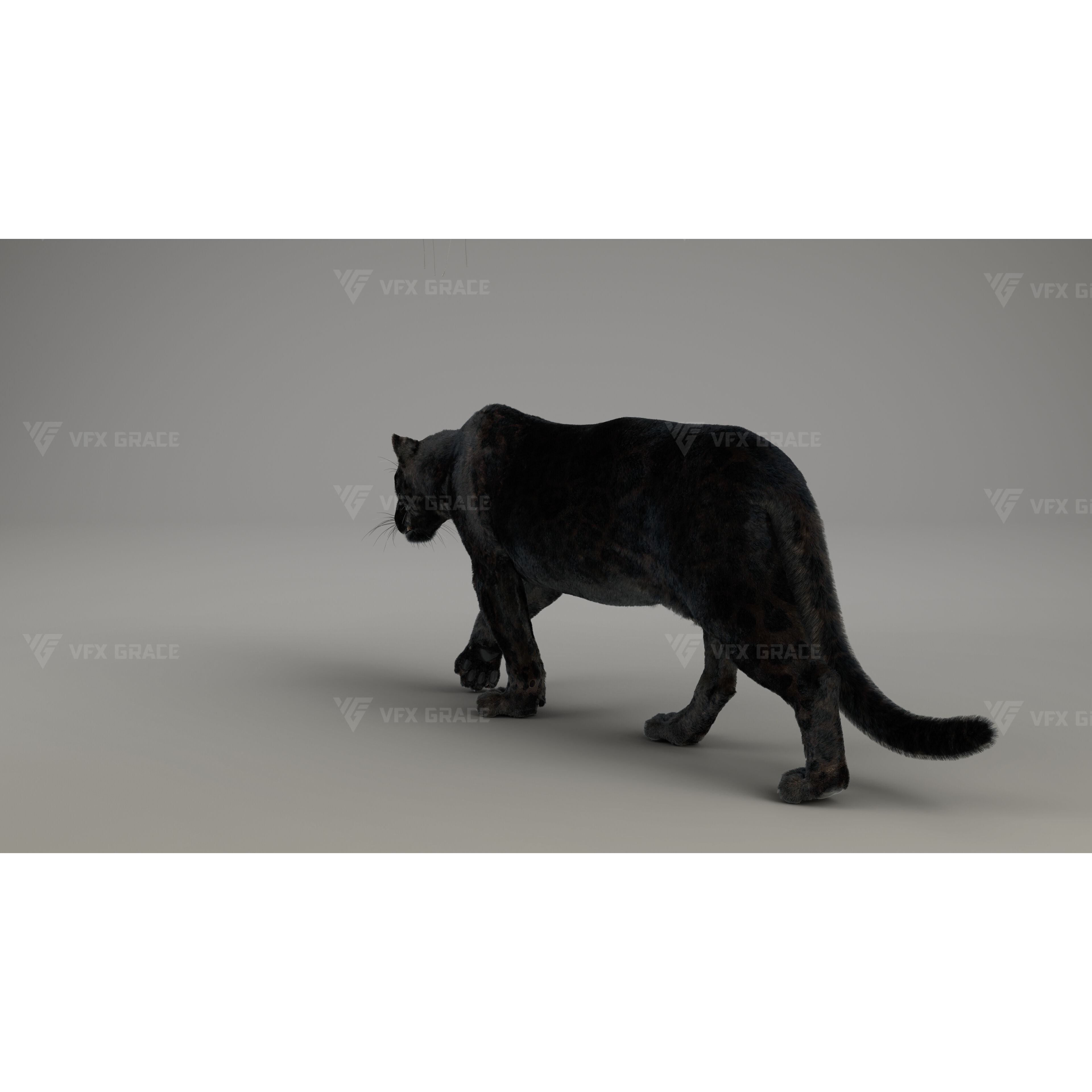 Black Jaguar 3D Blender 3D model 7
