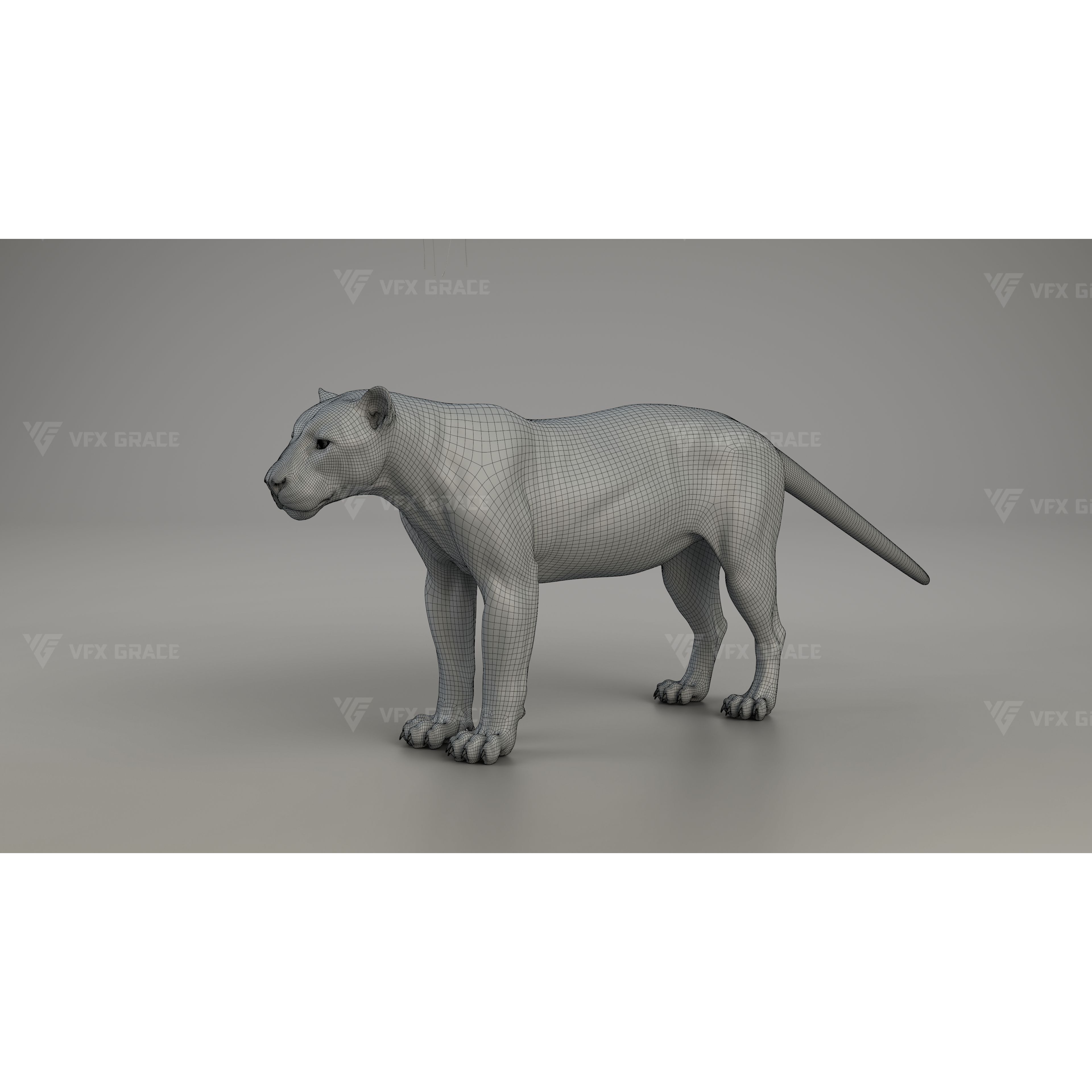 Black Jaguar 3D Blender 3D model 10