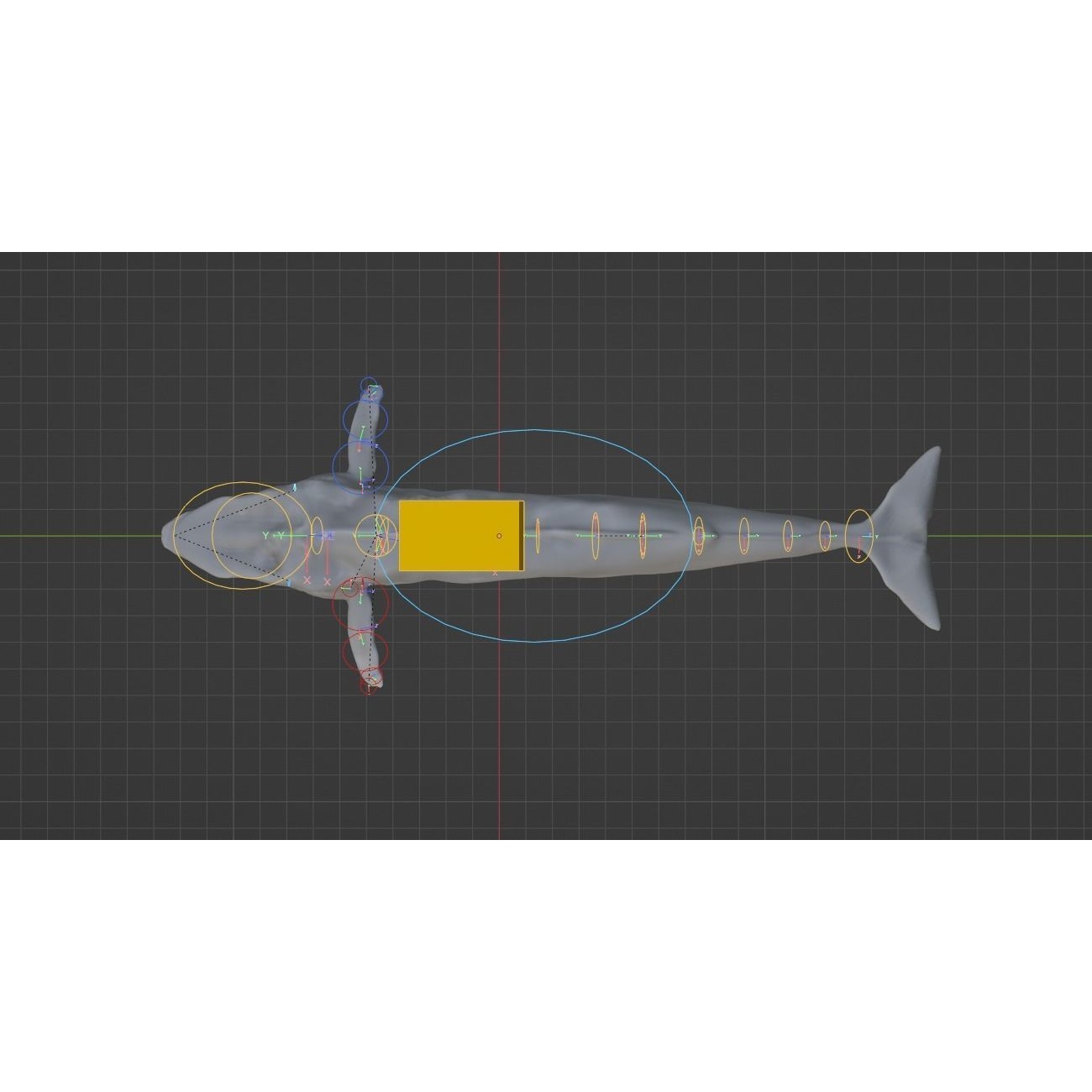 Blue Whale 3D Model Rigged Free low-poly 3D model 7