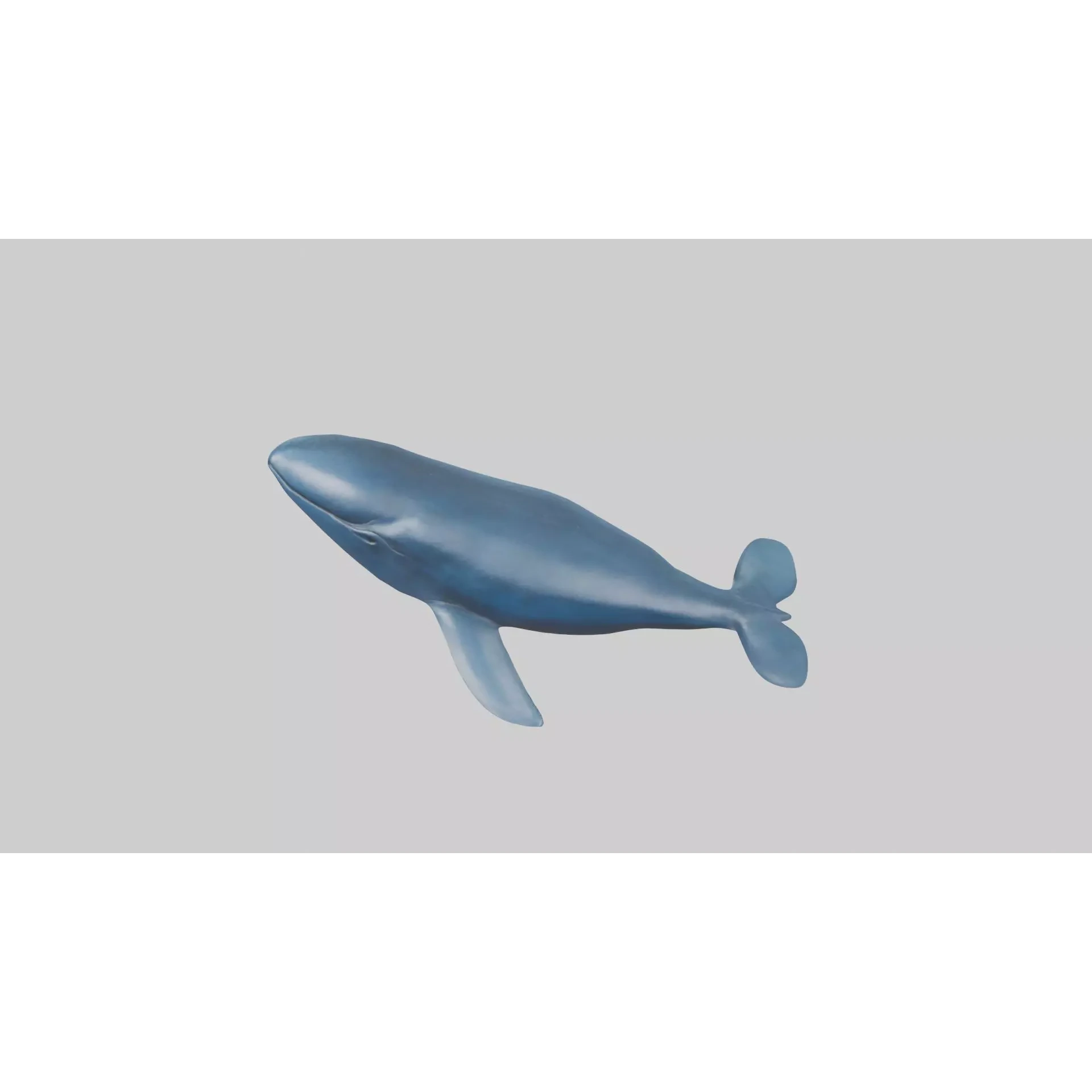 Blue Whale statue model Low-poly 3D model