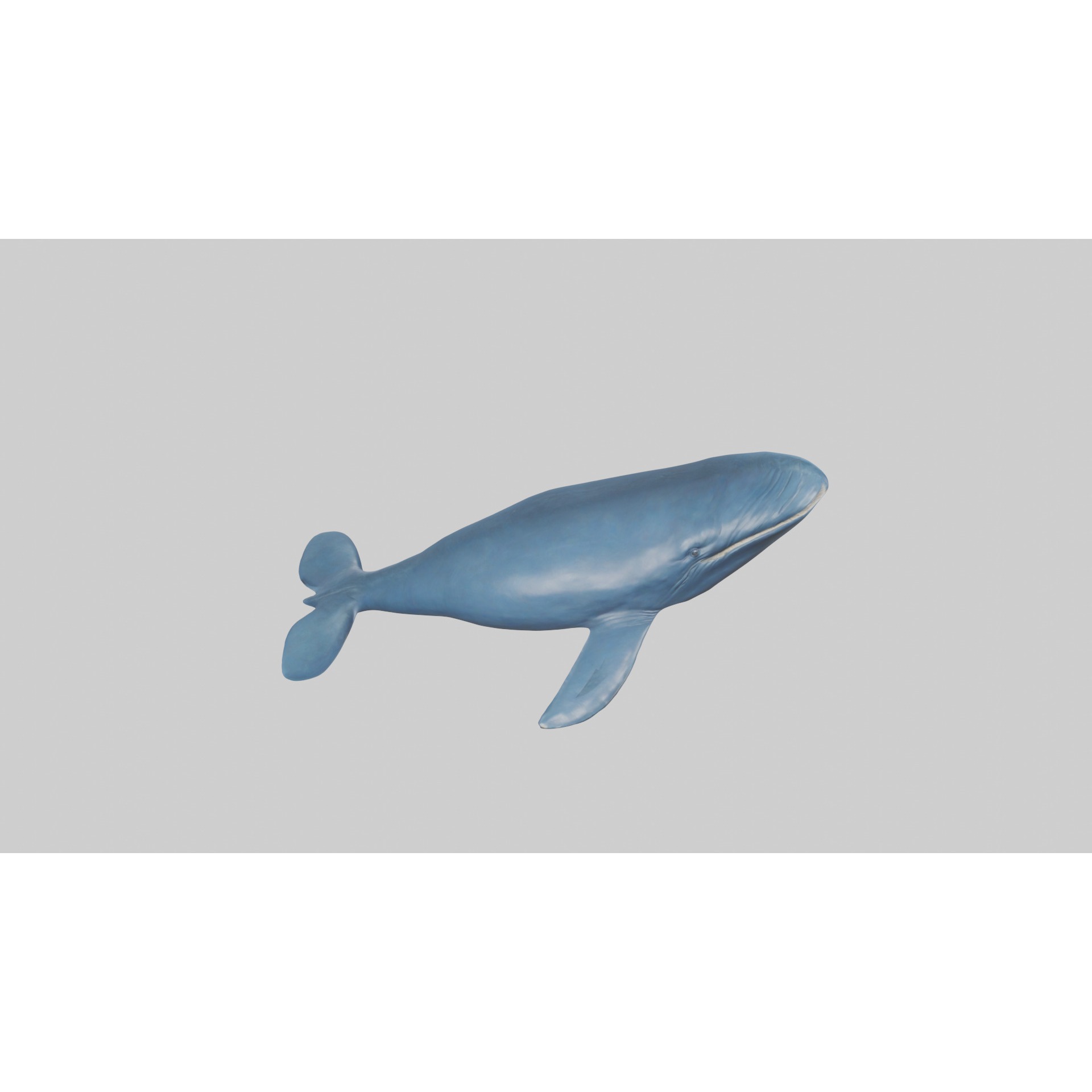 Blue Whale statue model Low-poly 3D model 2