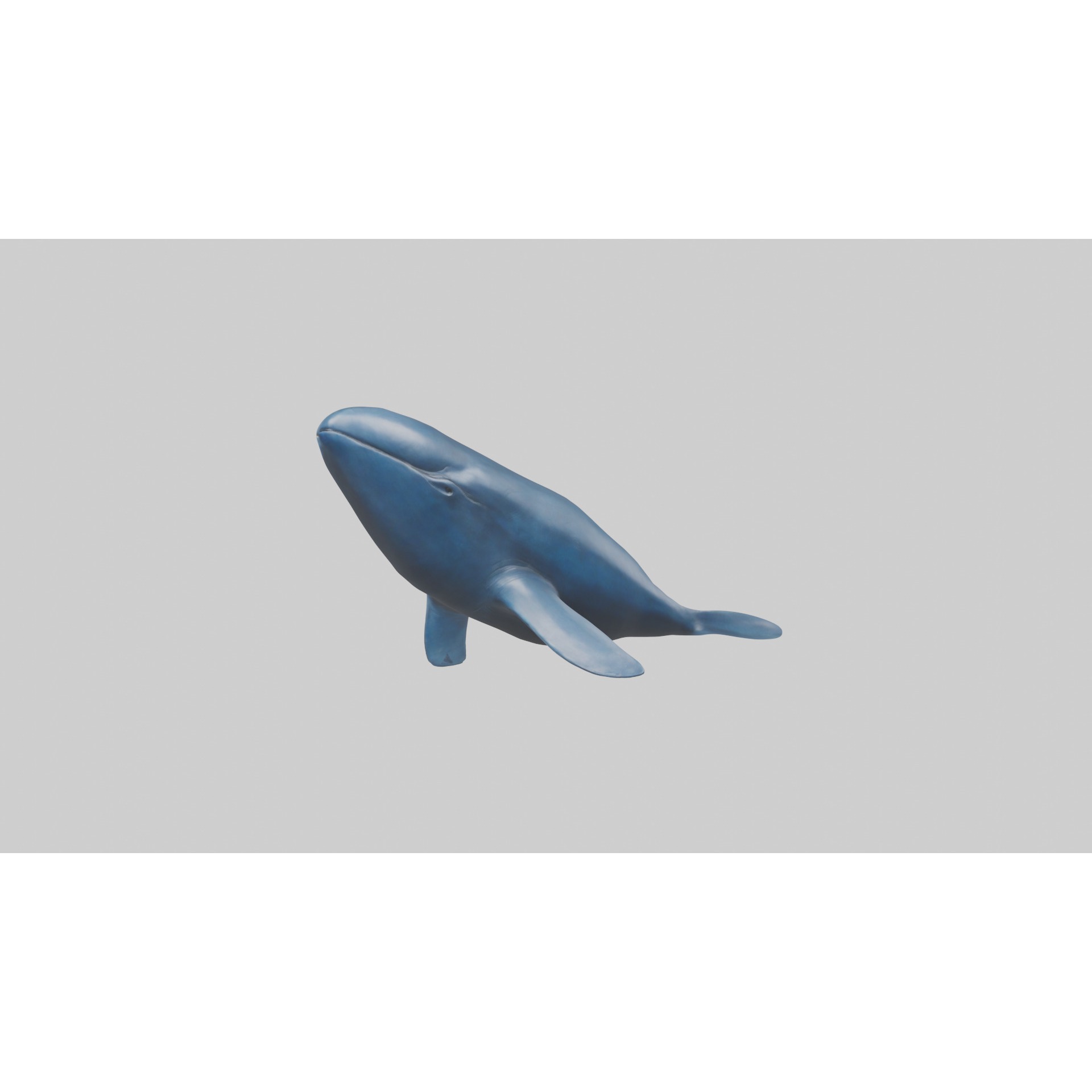 Blue Whale statue model Low-poly 3D model 4