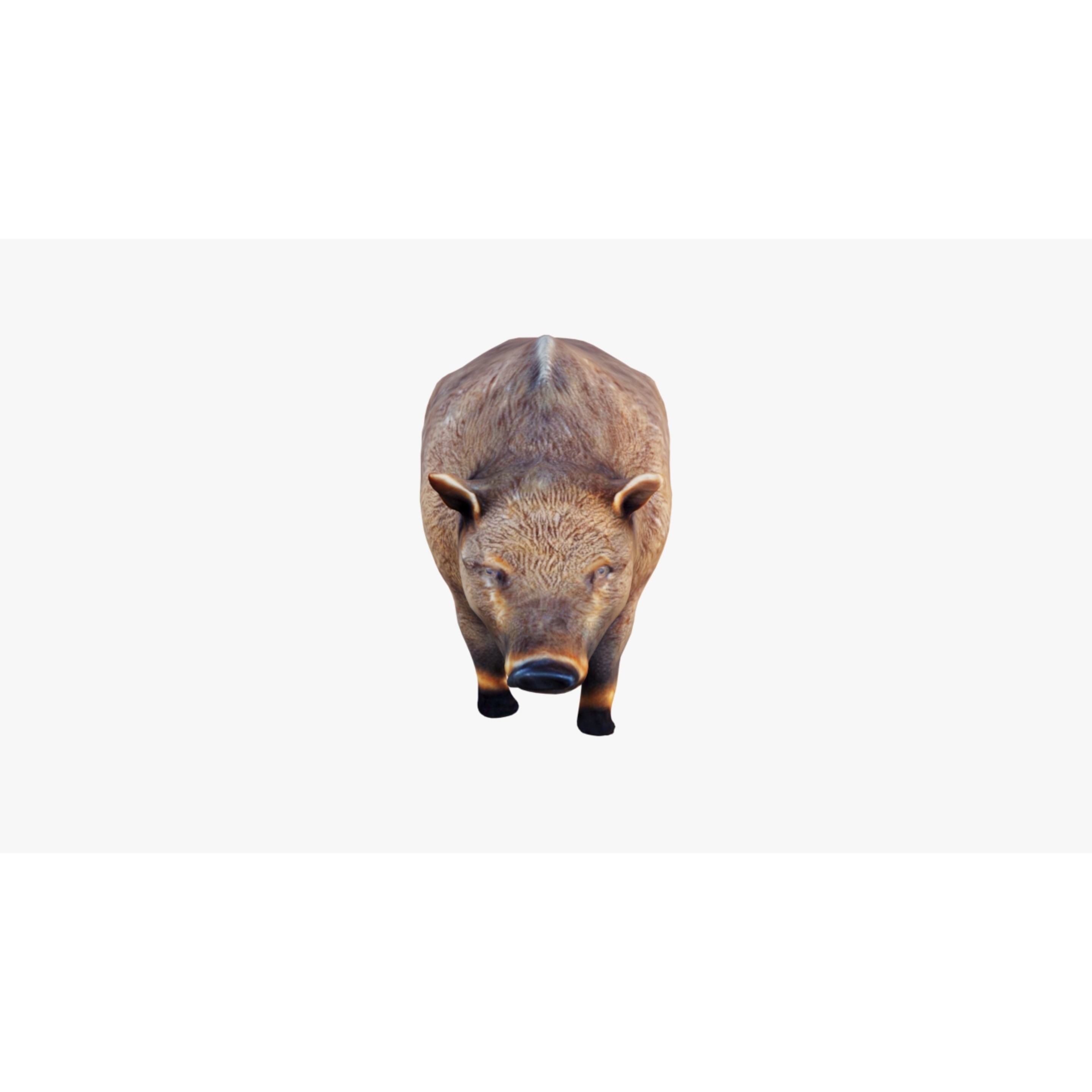 Boar Animal Free 3D model 3