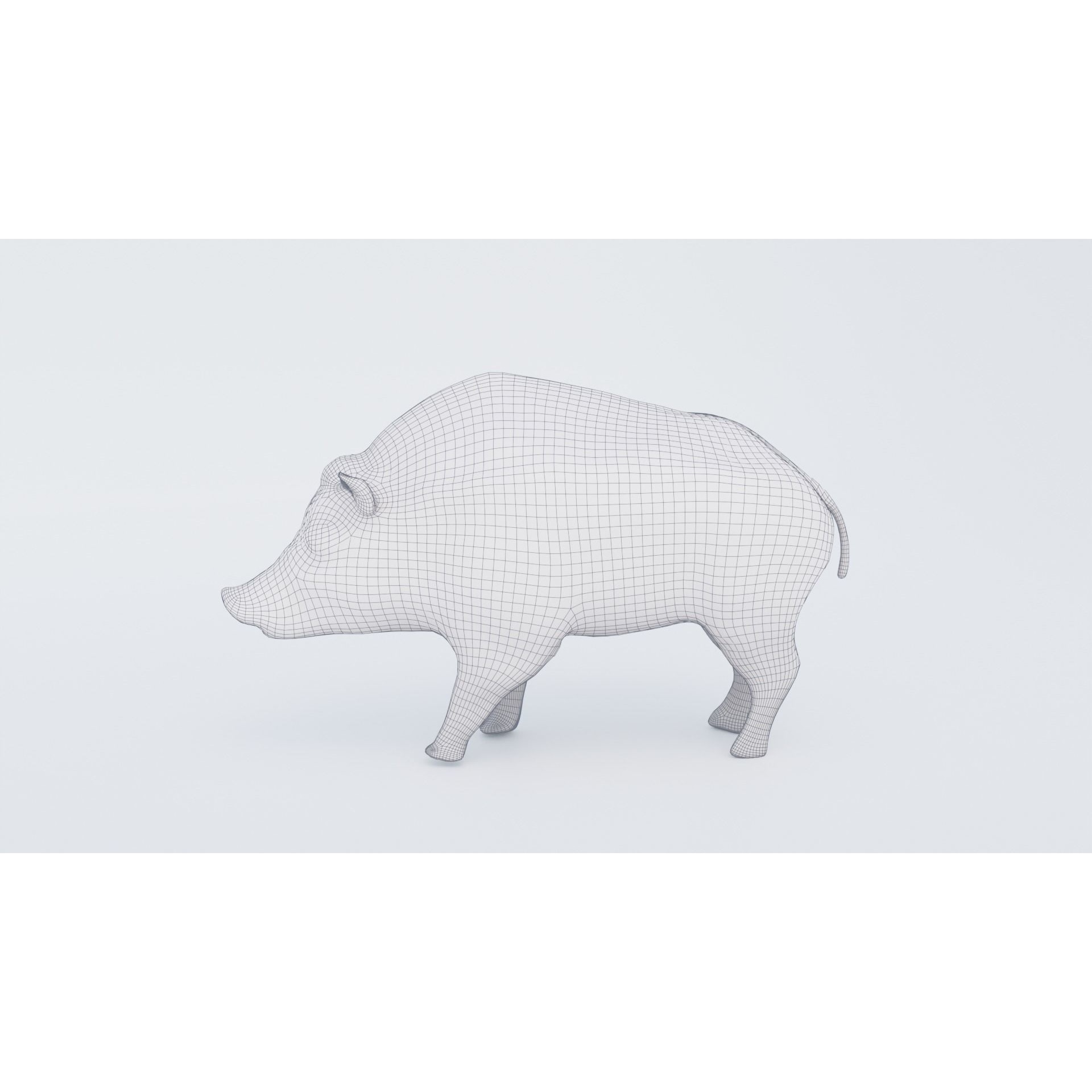 Boar Animal Free 3D model 7