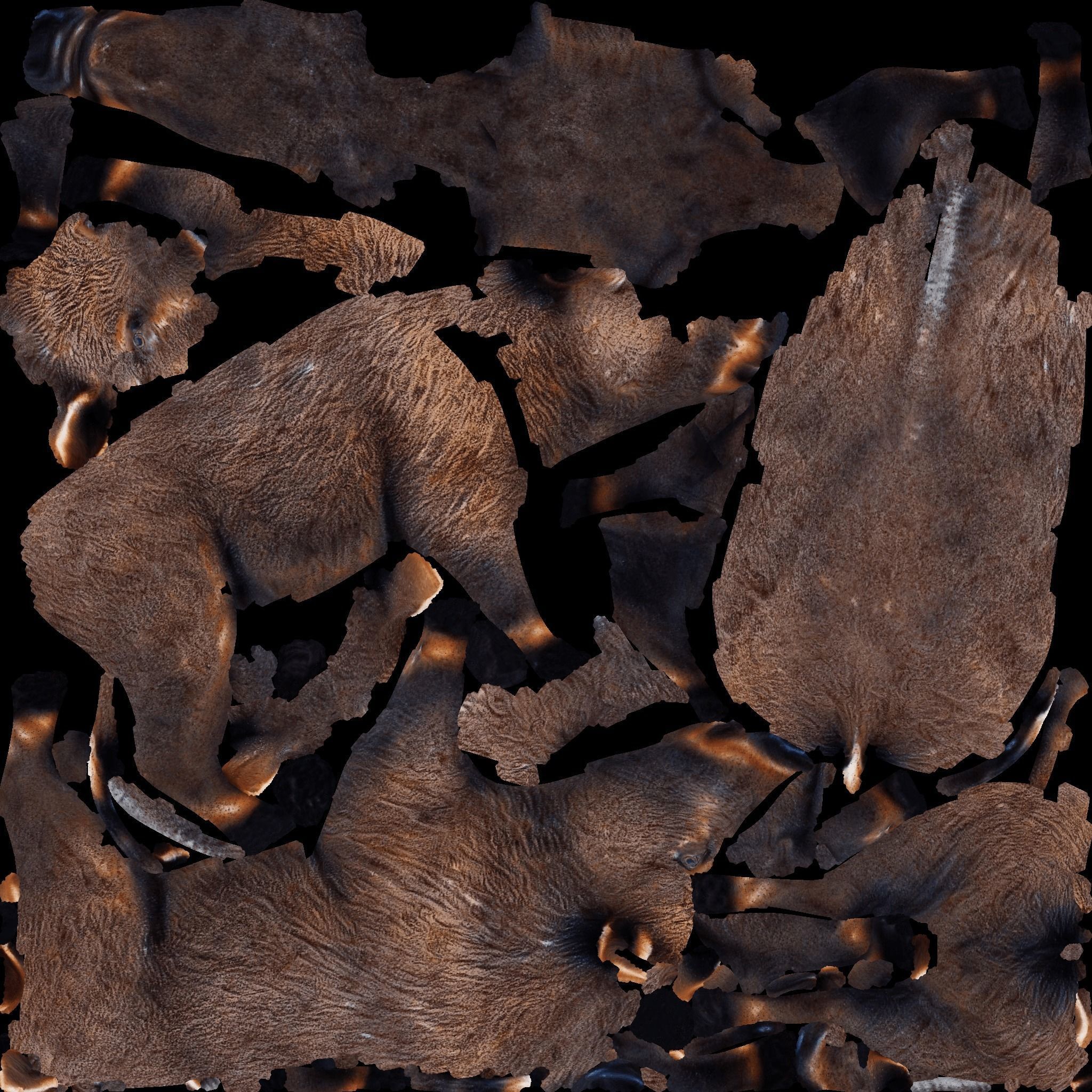 Boar Animal Free 3D model 8