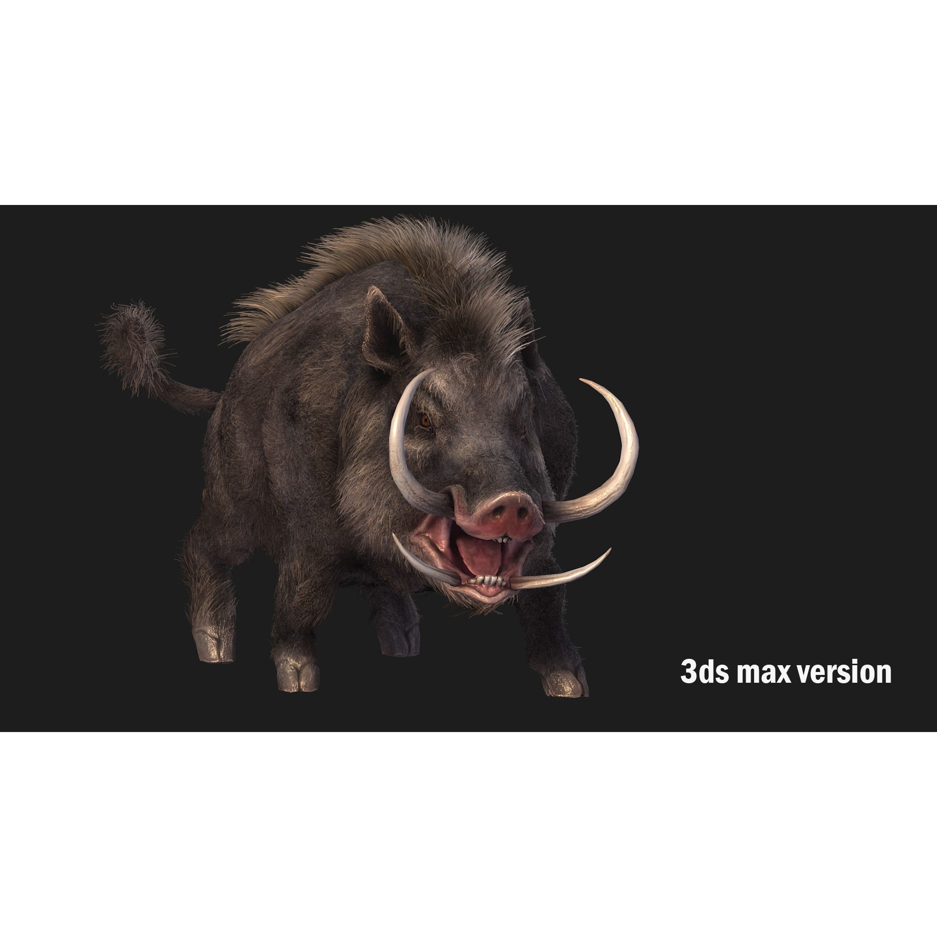 boar pig beast Low-poly 3D model 2