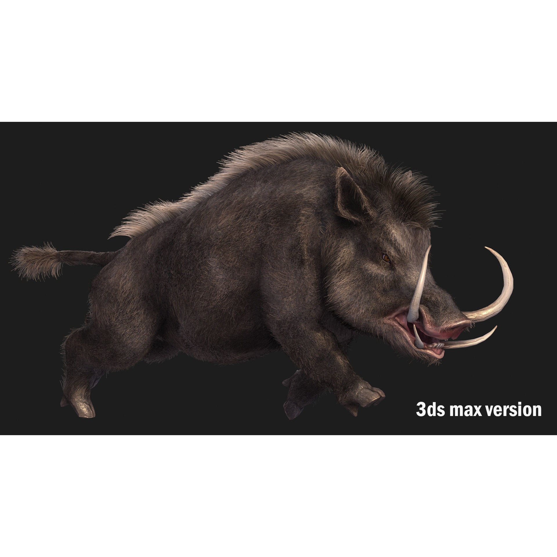 boar pig beast Low-poly 3D model 3