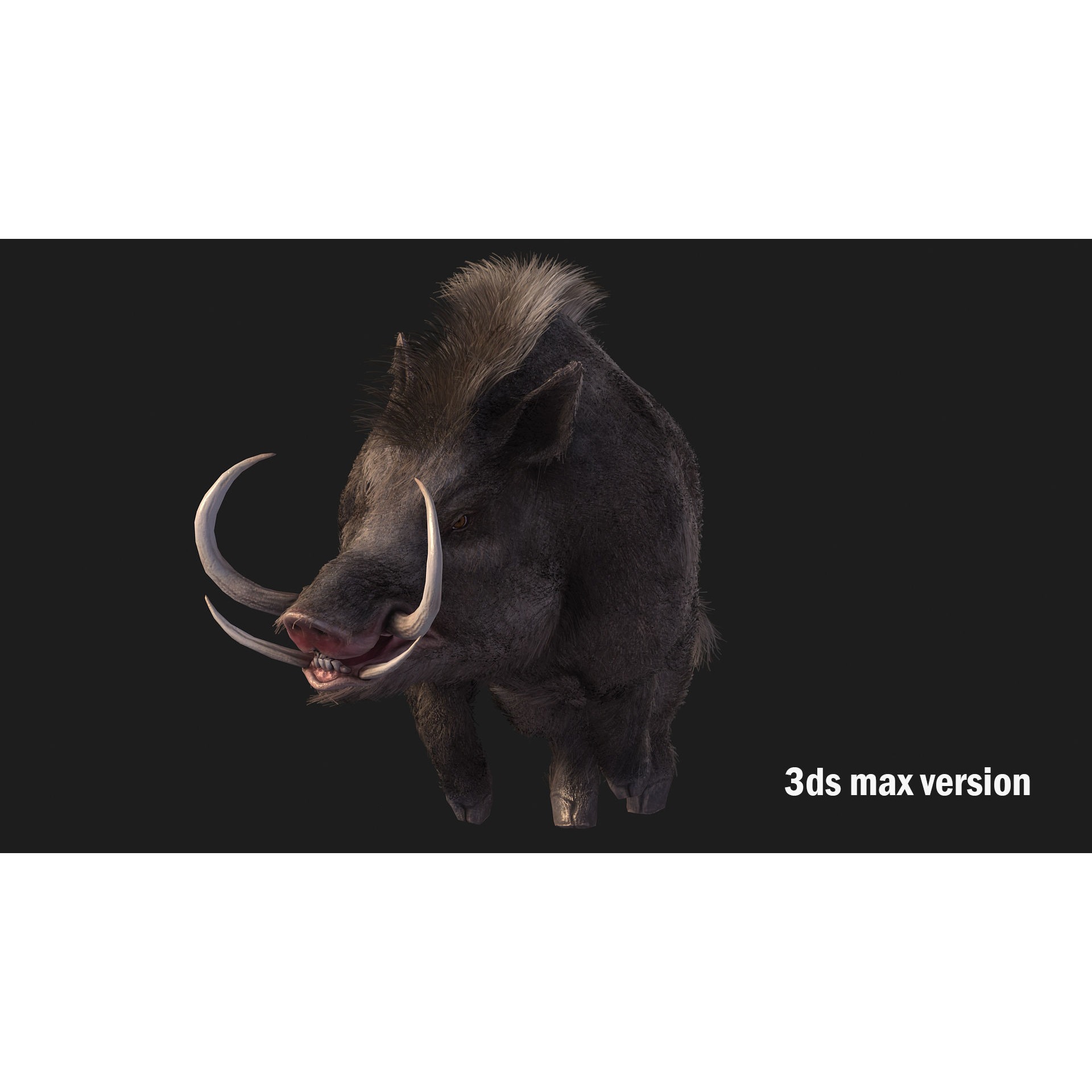 boar pig beast Low-poly 3D model 4