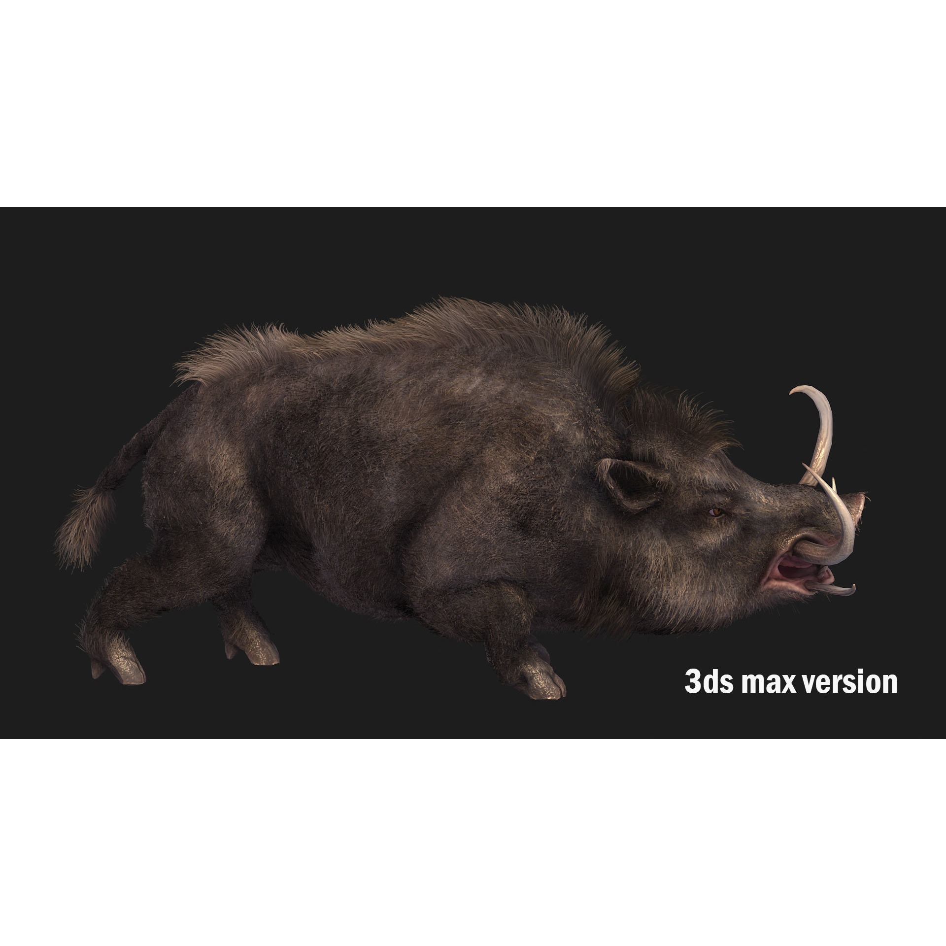 boar pig beast Low-poly 3D model 5