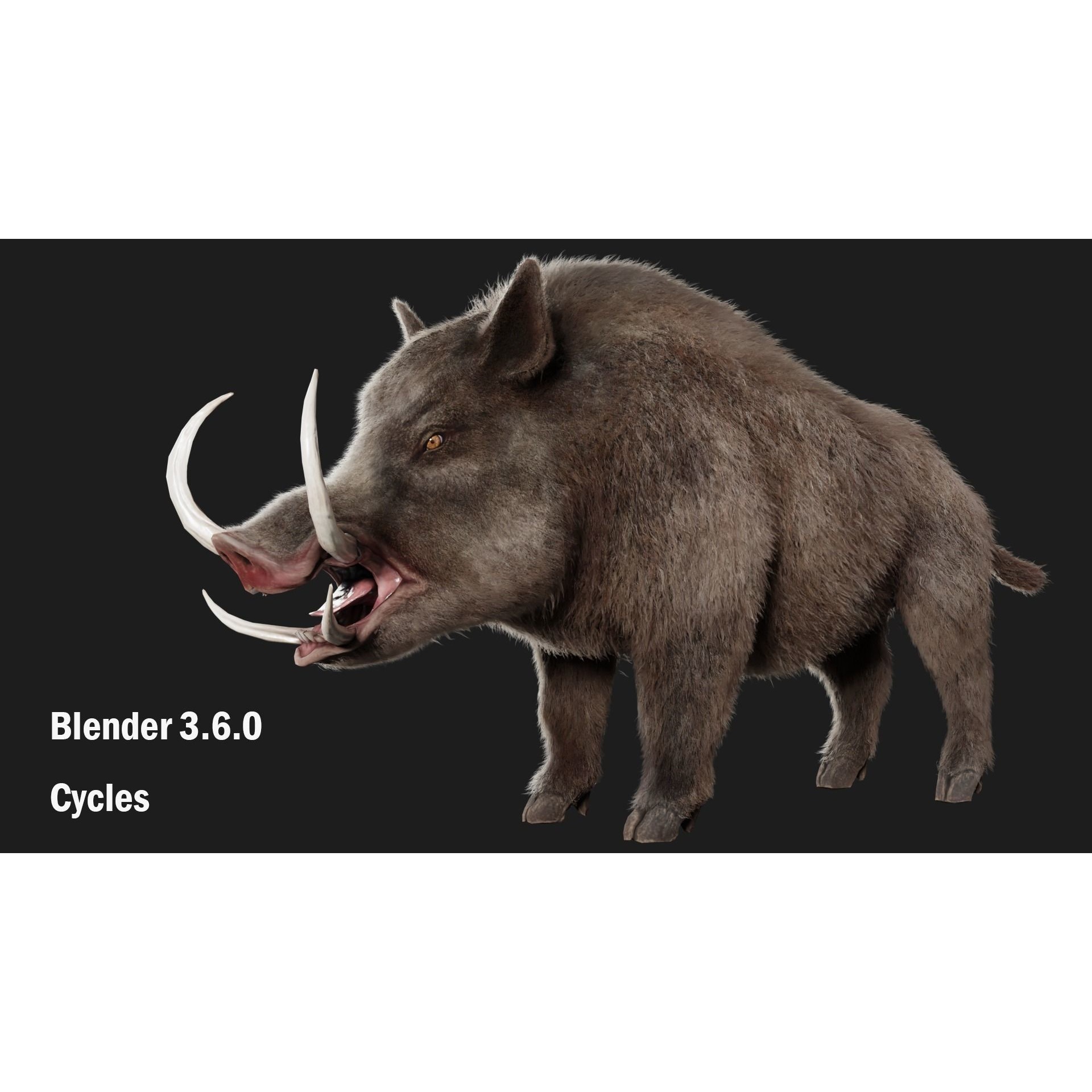 boar pig beast Low-poly 3D model 6