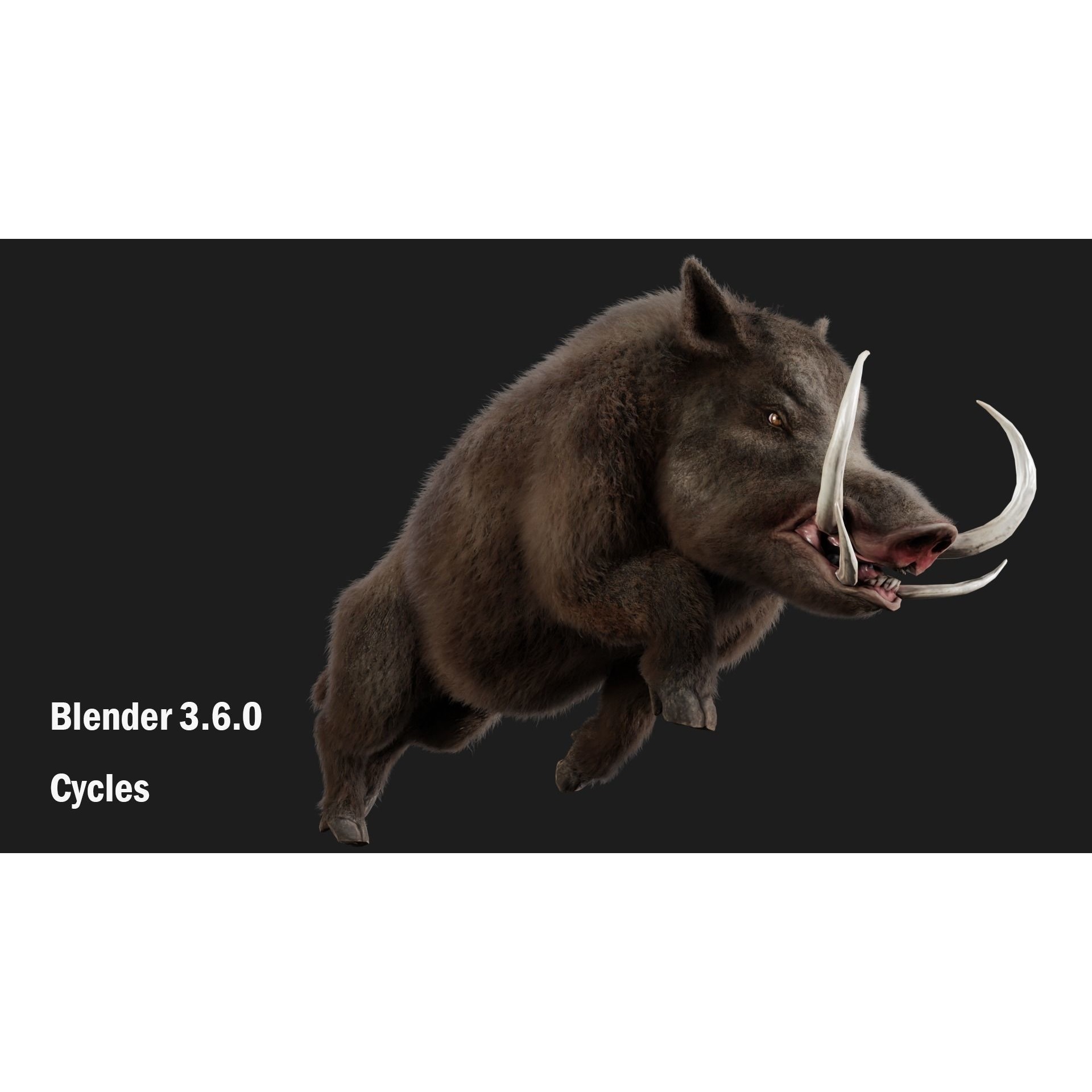 boar pig beast Low-poly 3D model 7