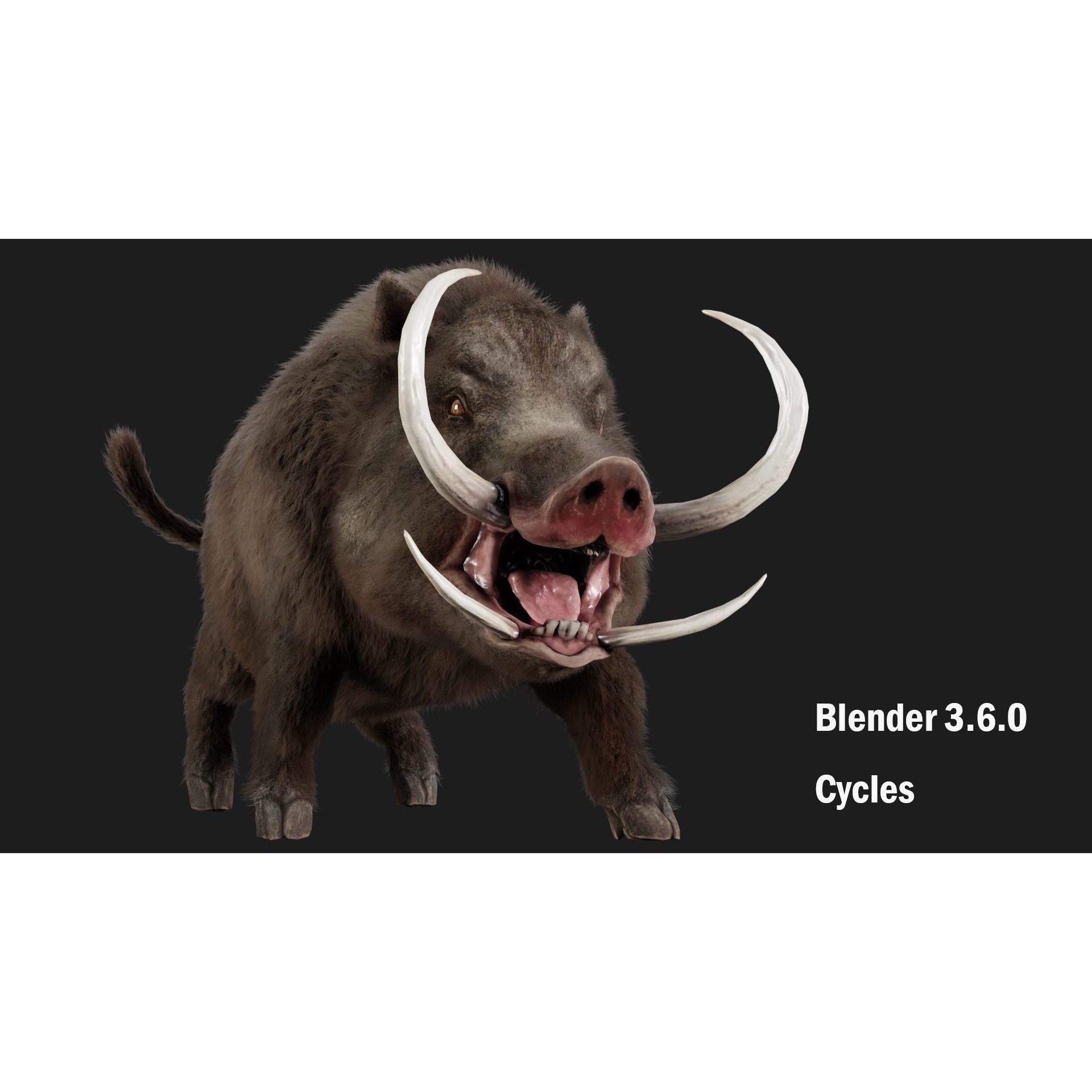 boar pig beast Low-poly 3D model 8