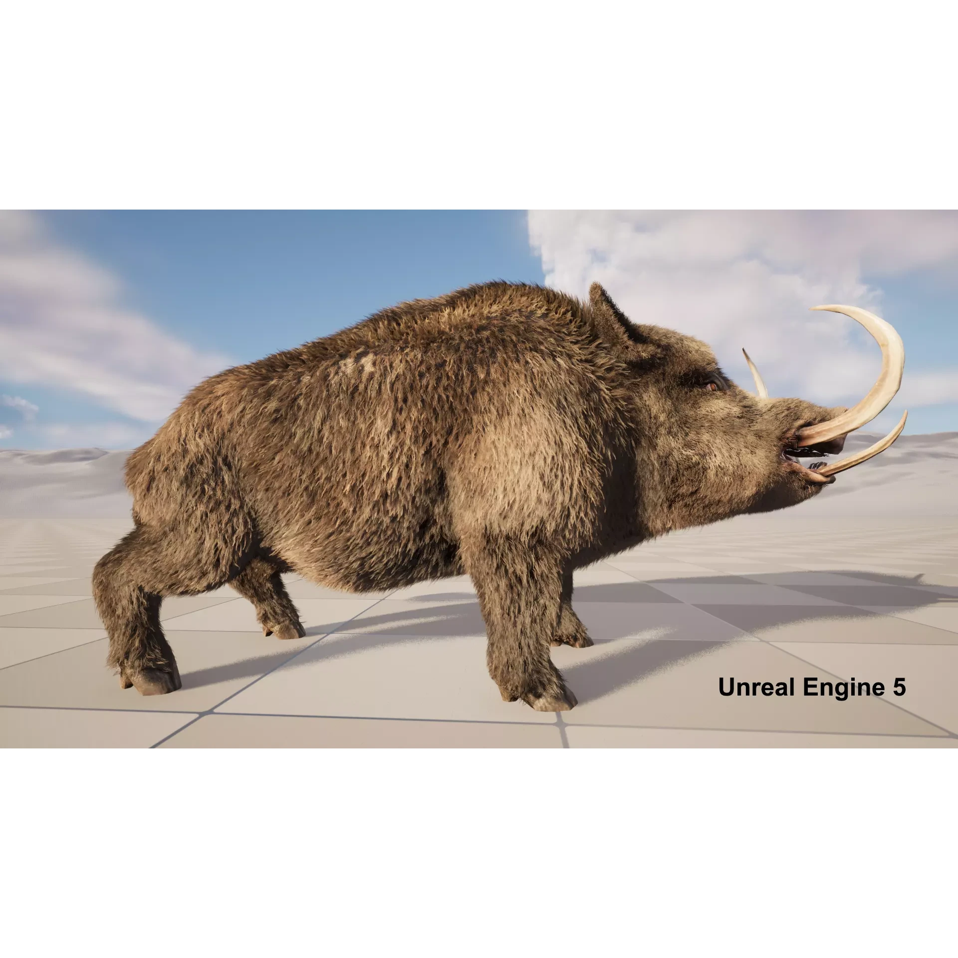 boar pig beast Low-poly 3D model 9
