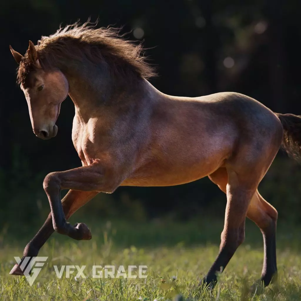Brown Horse Animation VFX Grace 3D model