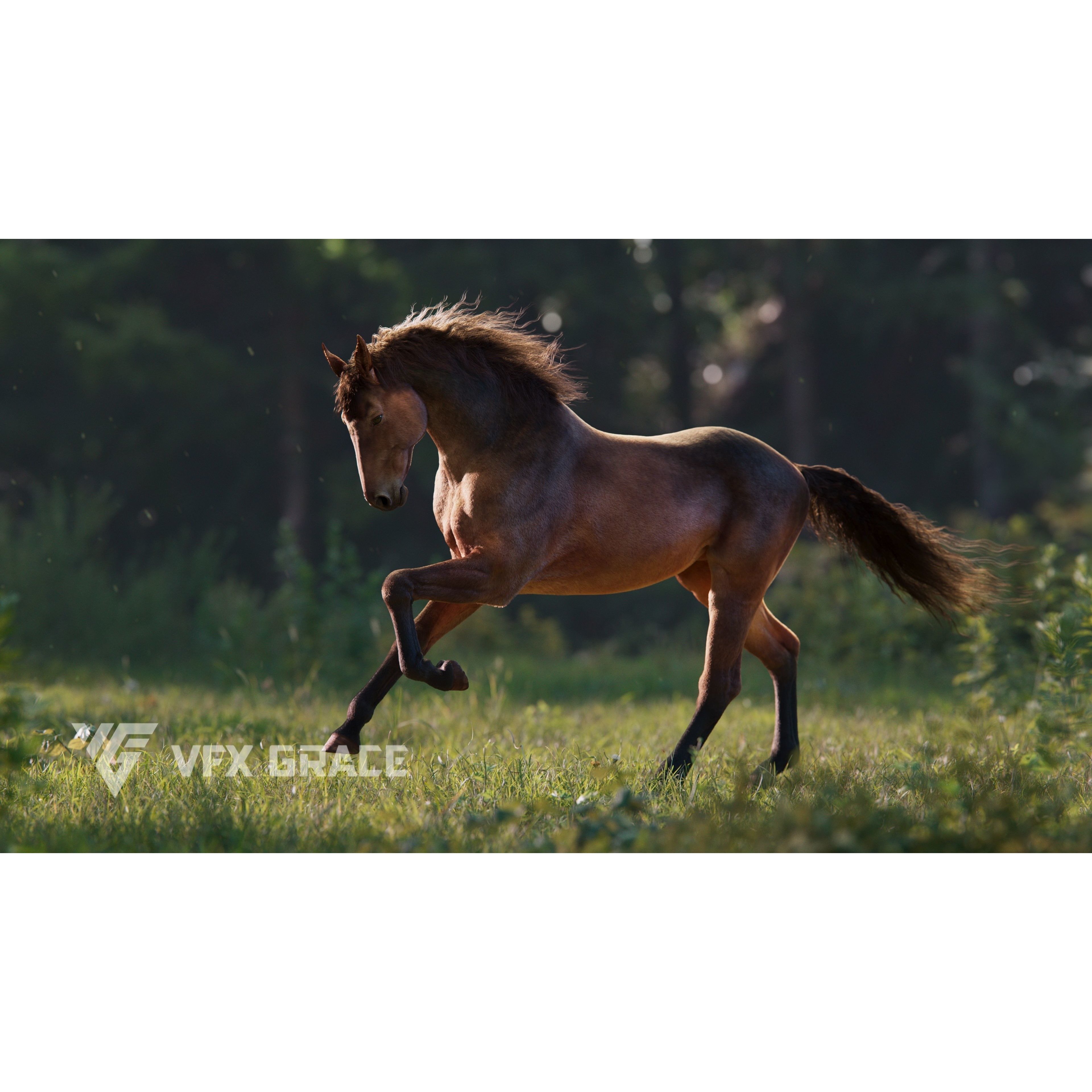 Brown Horse Animation VFX Grace 3D model 2