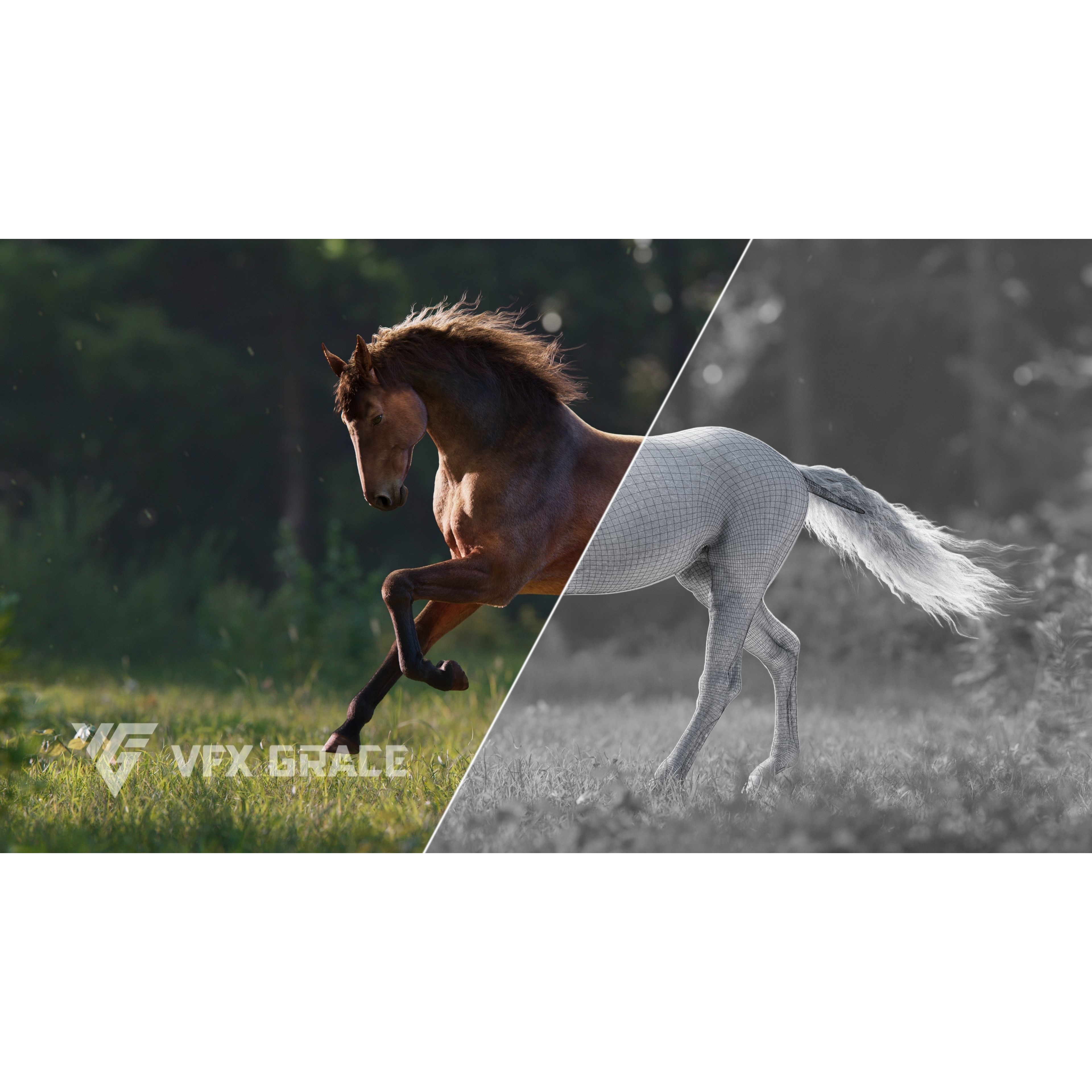 Brown Horse Animation VFX Grace 3D model 3