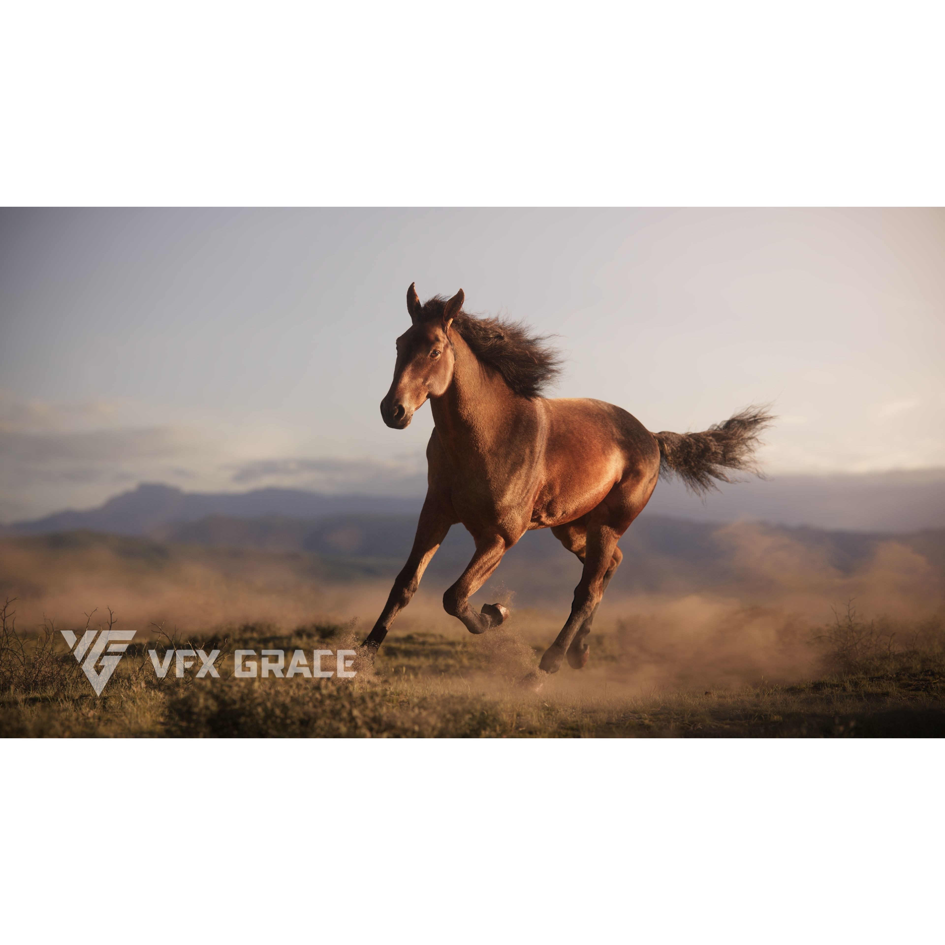 Brown Horse Animation VFX Grace 3D model 4