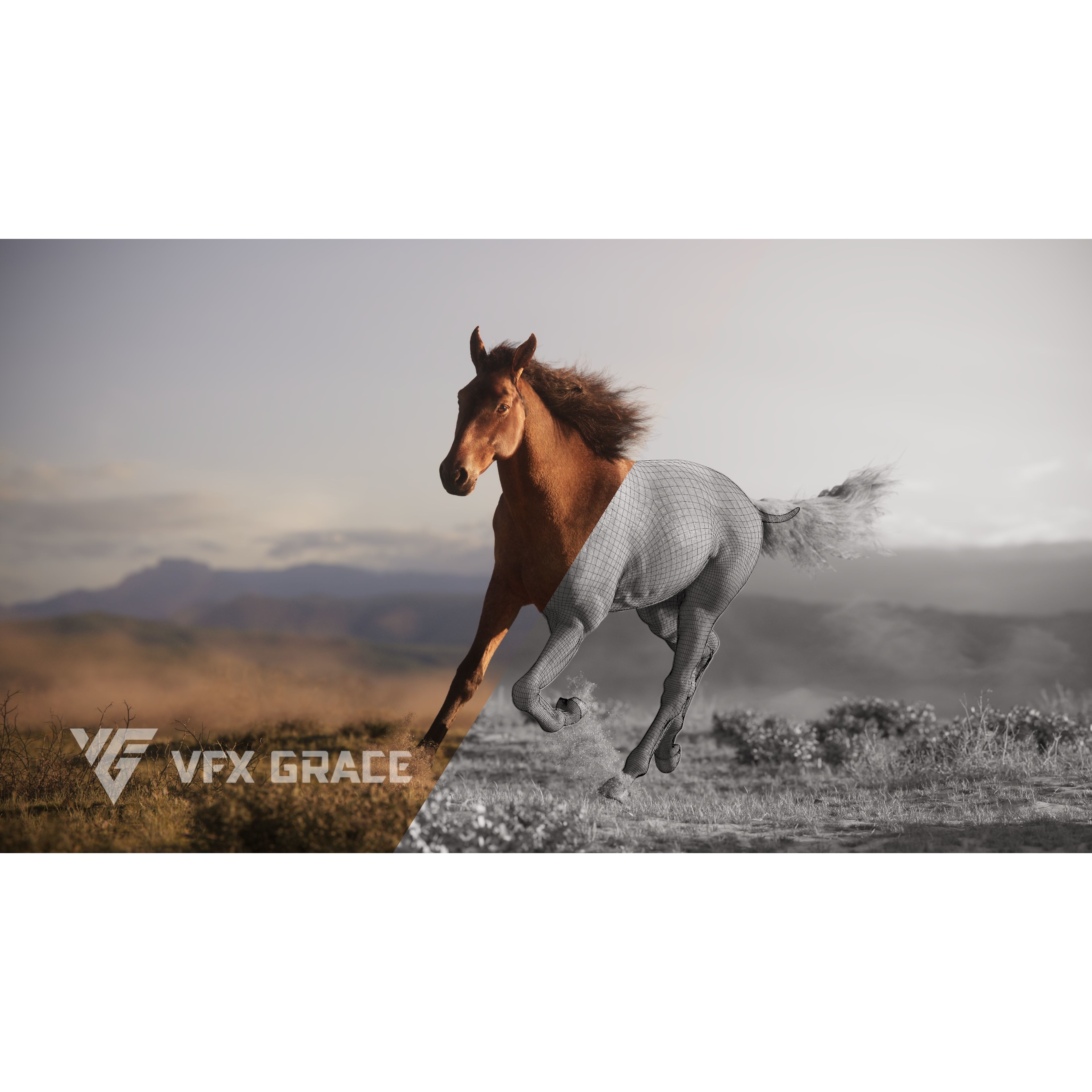 Brown Horse Animation VFX Grace 3D model 5