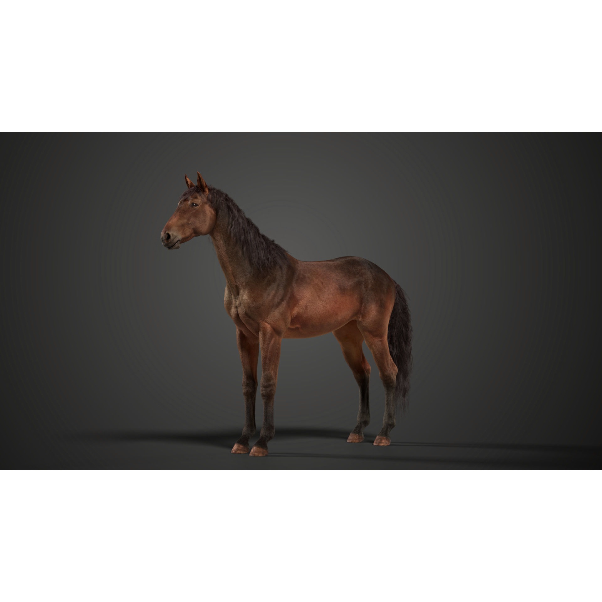 Brown Horse Animation VFX Grace 3D model 6